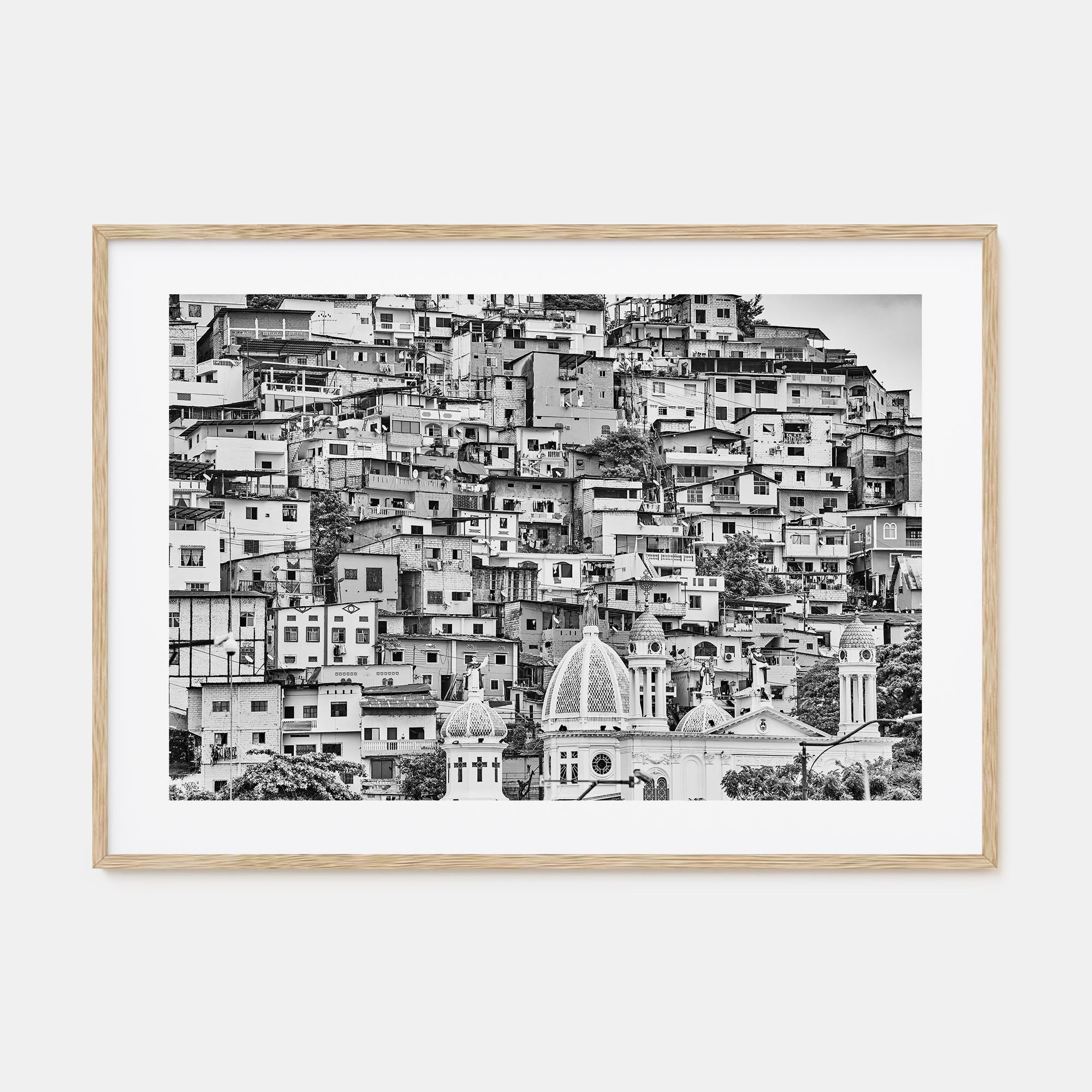 Ecuador Landscape B&W Poster