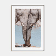 Elephant Couple Photo Color Poster