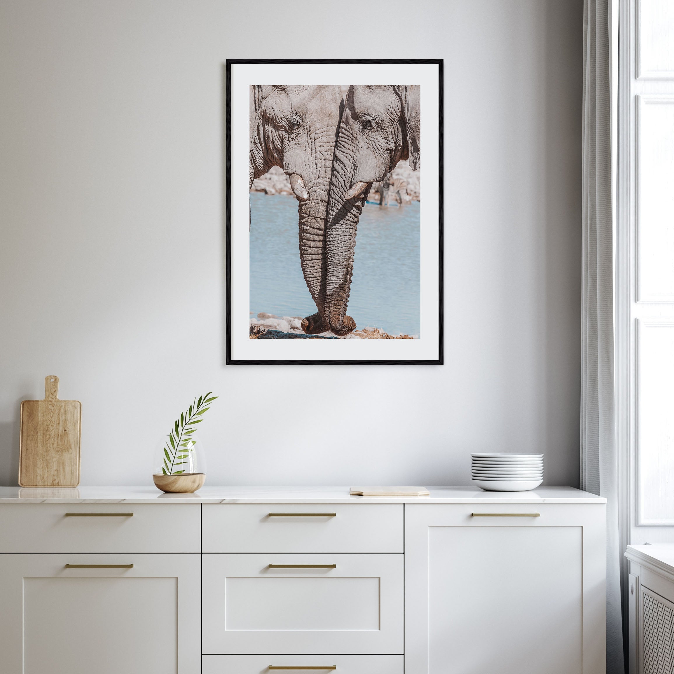 Elephant Couple Photo Color Poster