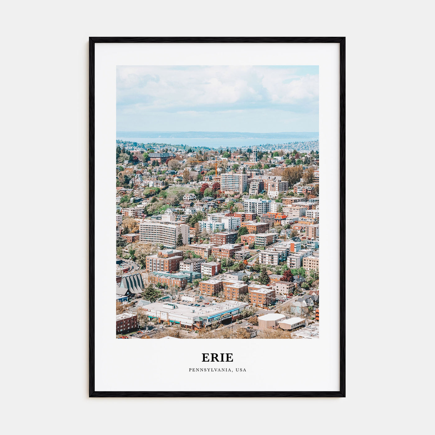 Erie Portrait Color Poster