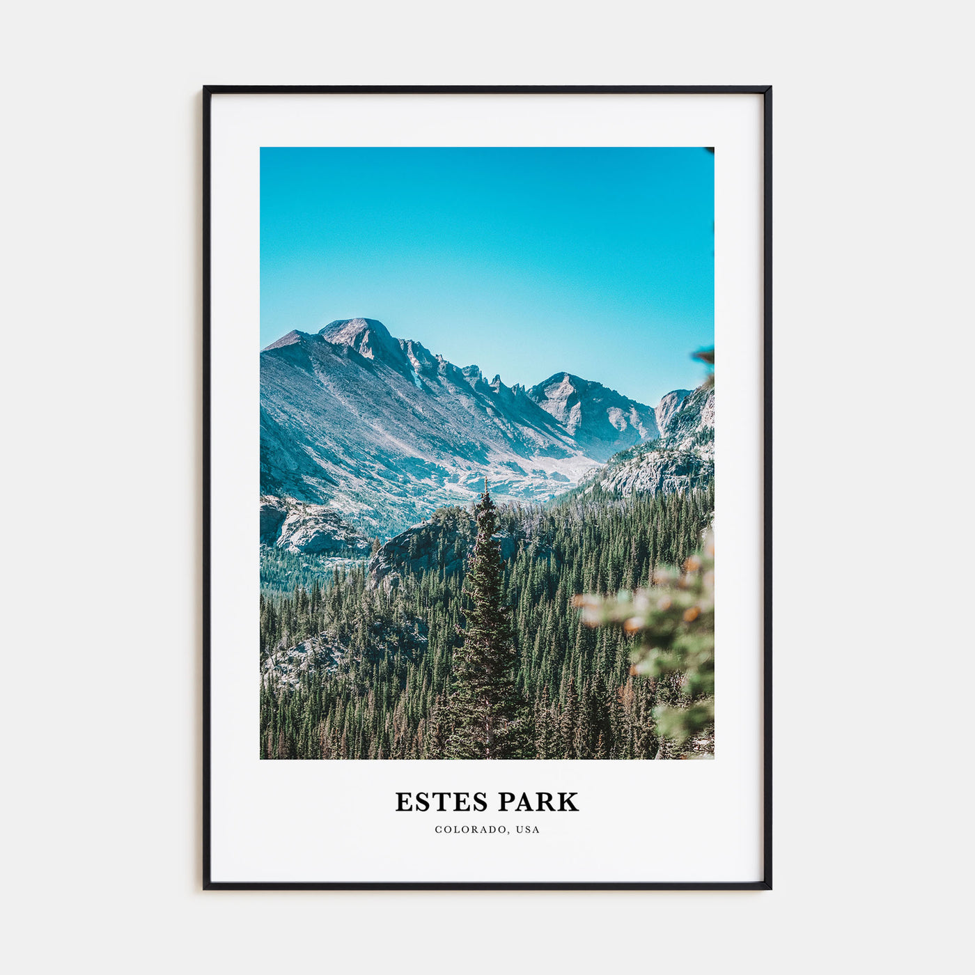 Estes Park Portrait Color Poster