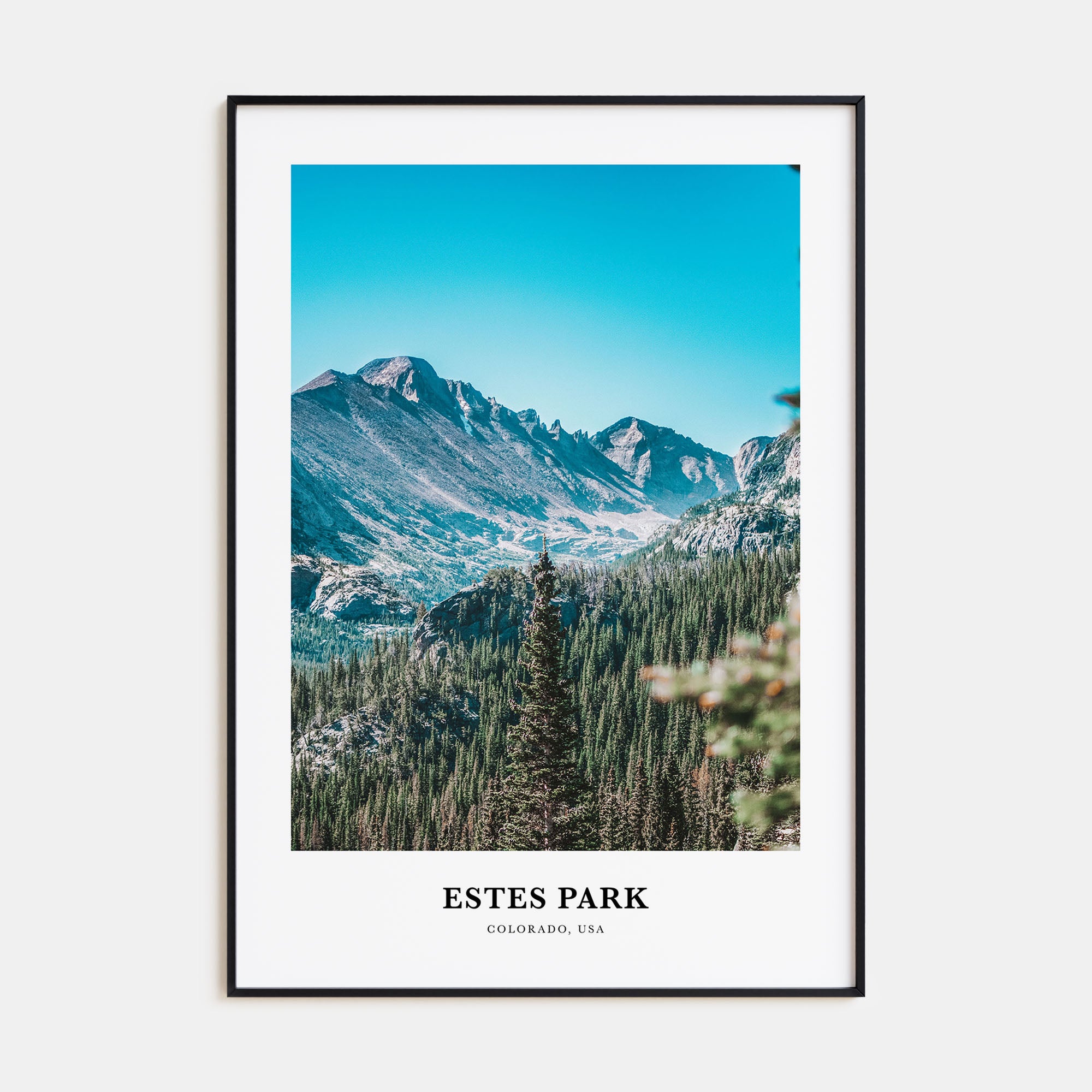 Estes Park Portrait Color Poster