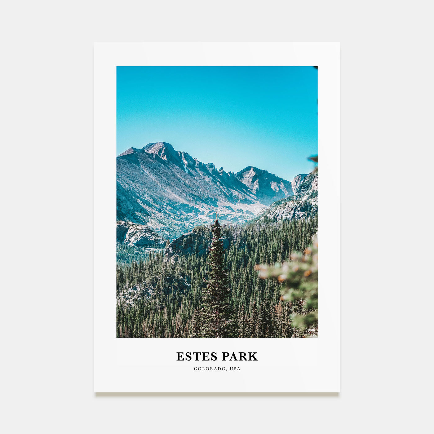Estes Park Portrait Color Poster