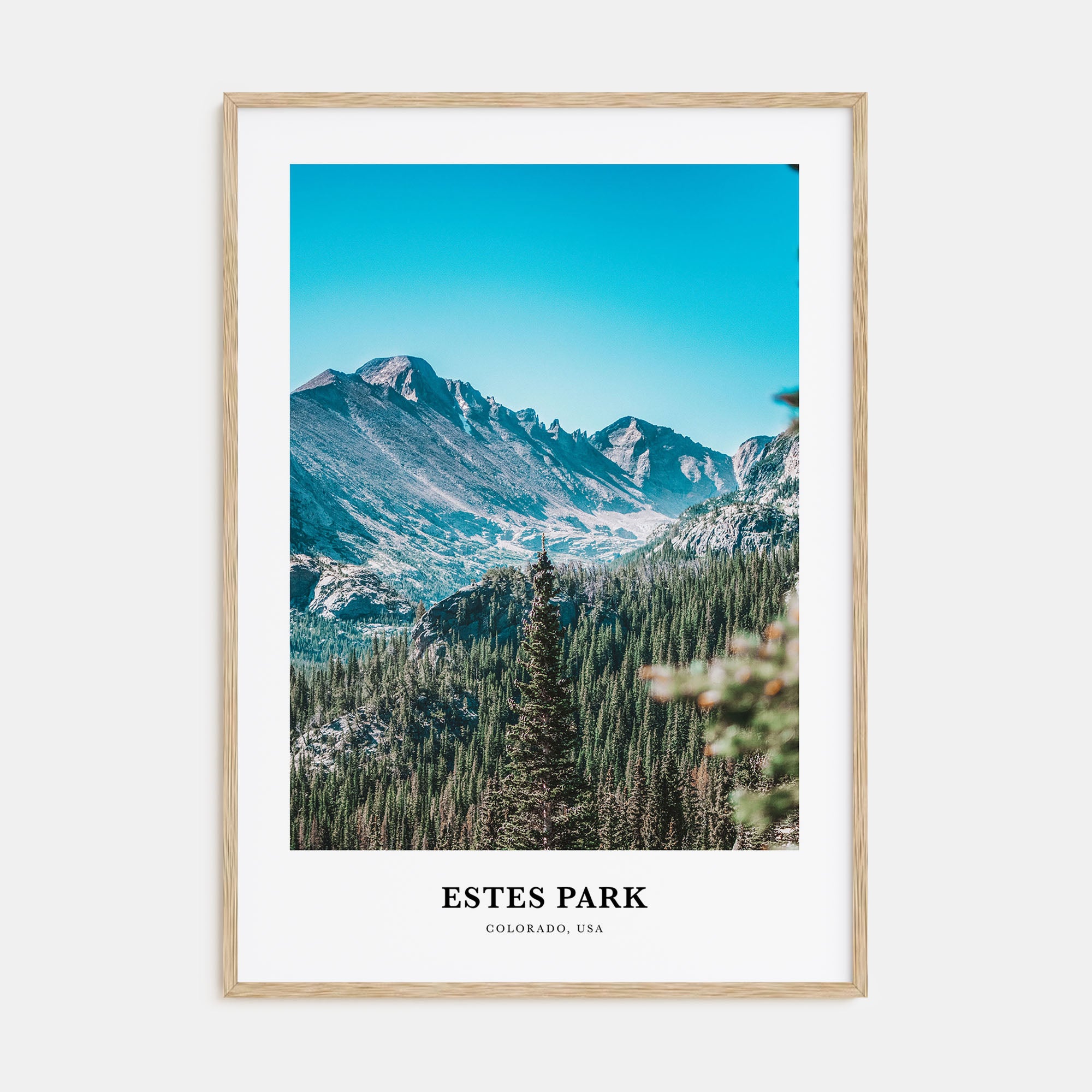 Estes Park Portrait Color Poster