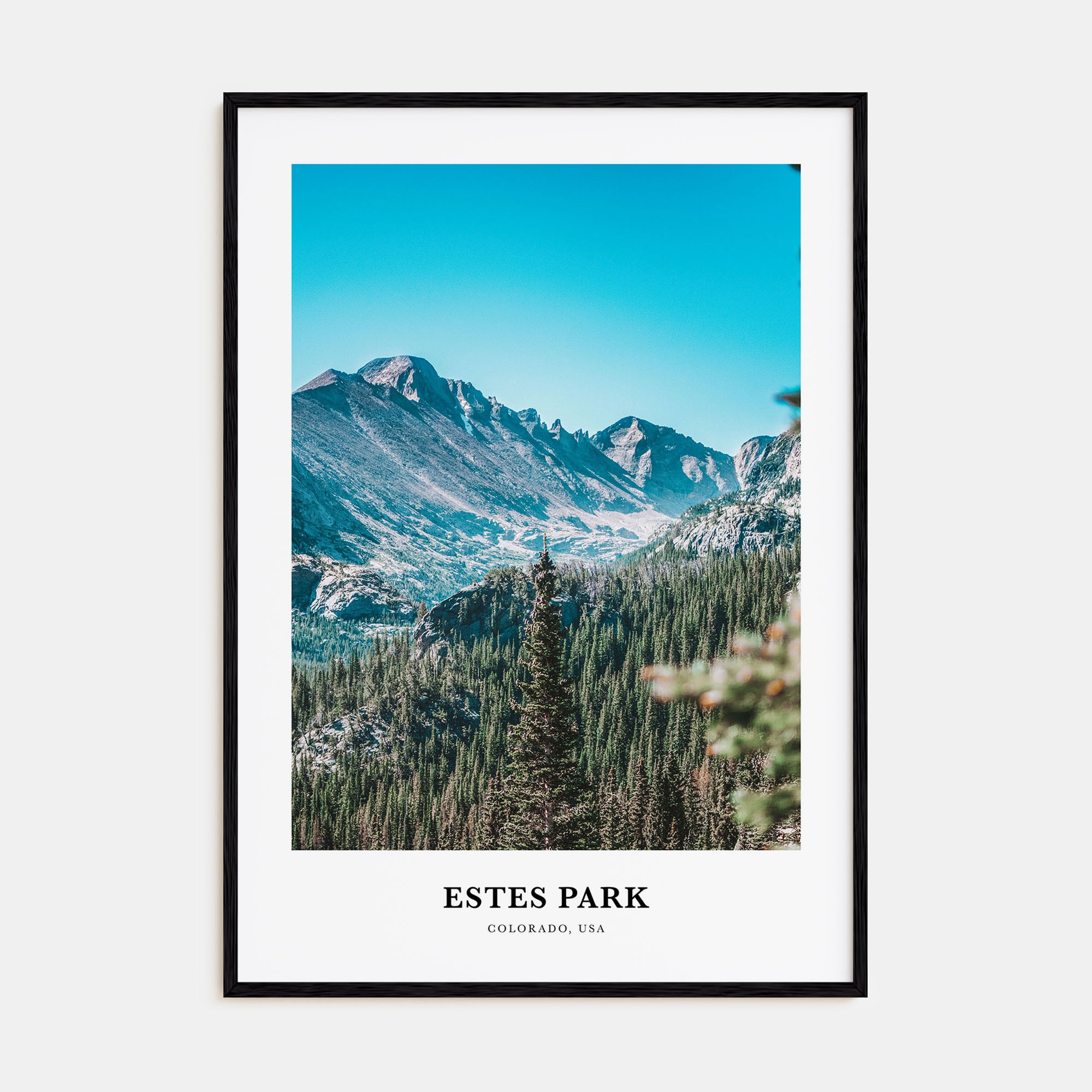 Estes Park Portrait Color Poster