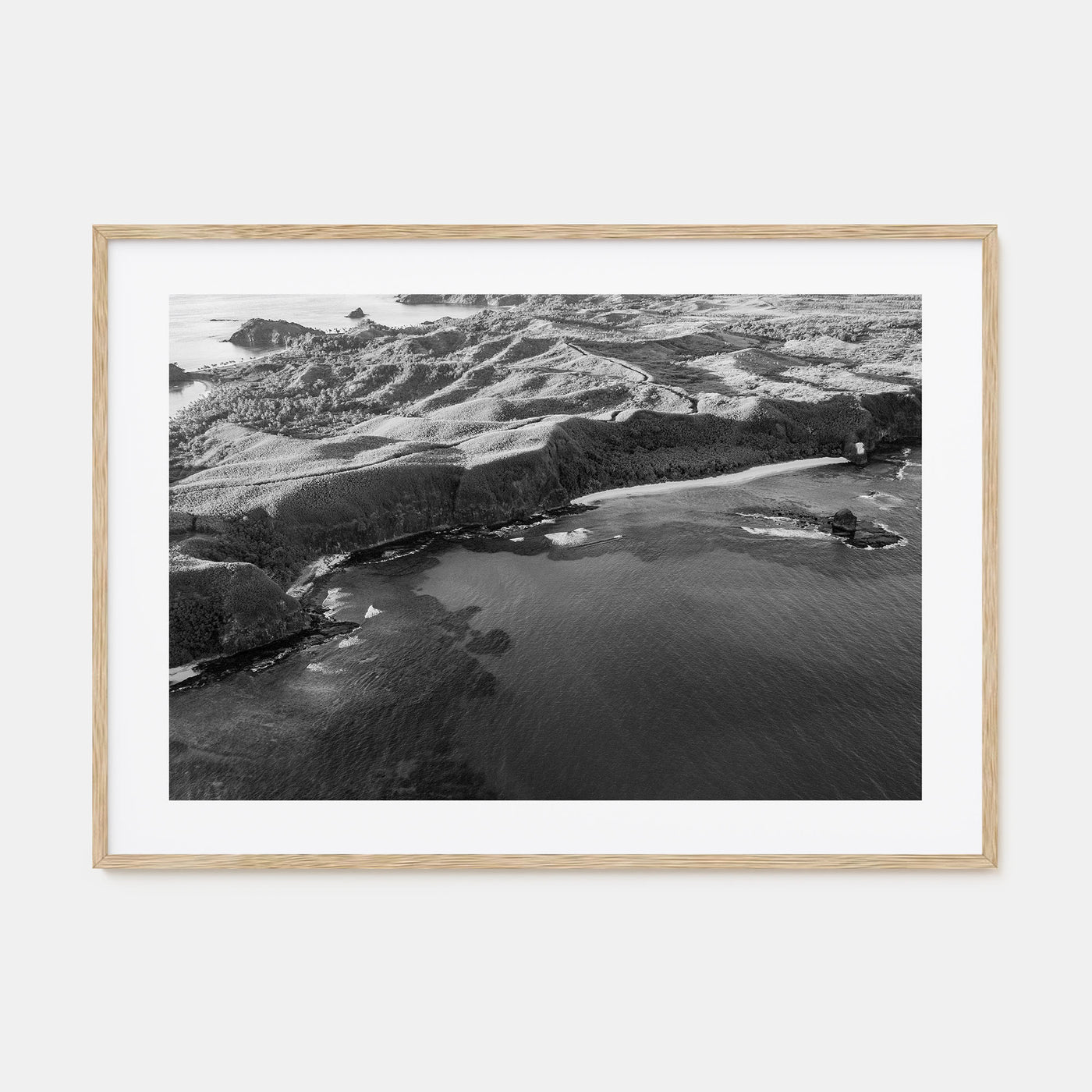 Fiji Landscape B&W Poster