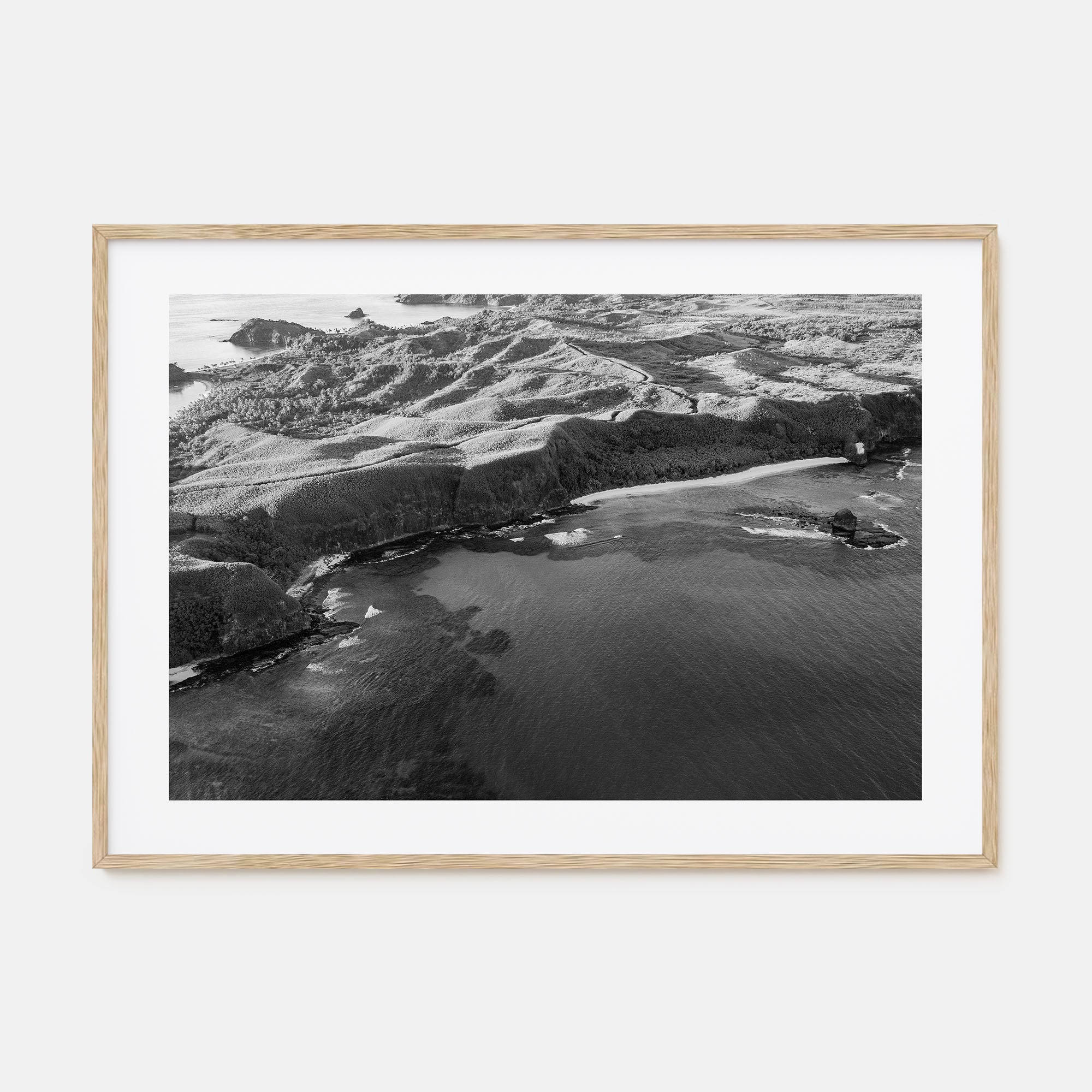 Fiji Landscape B&W Poster