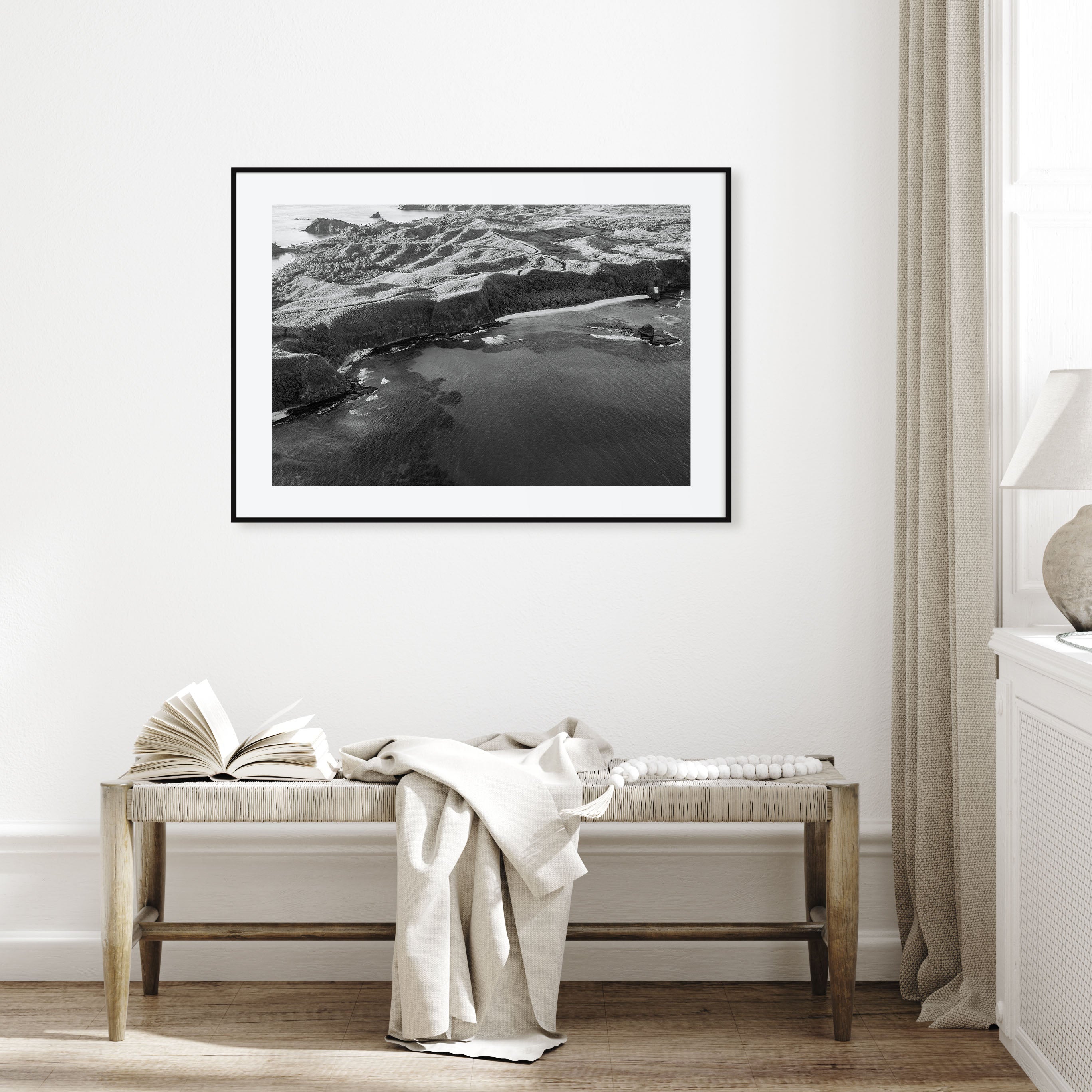 Fiji Landscape B&W Poster