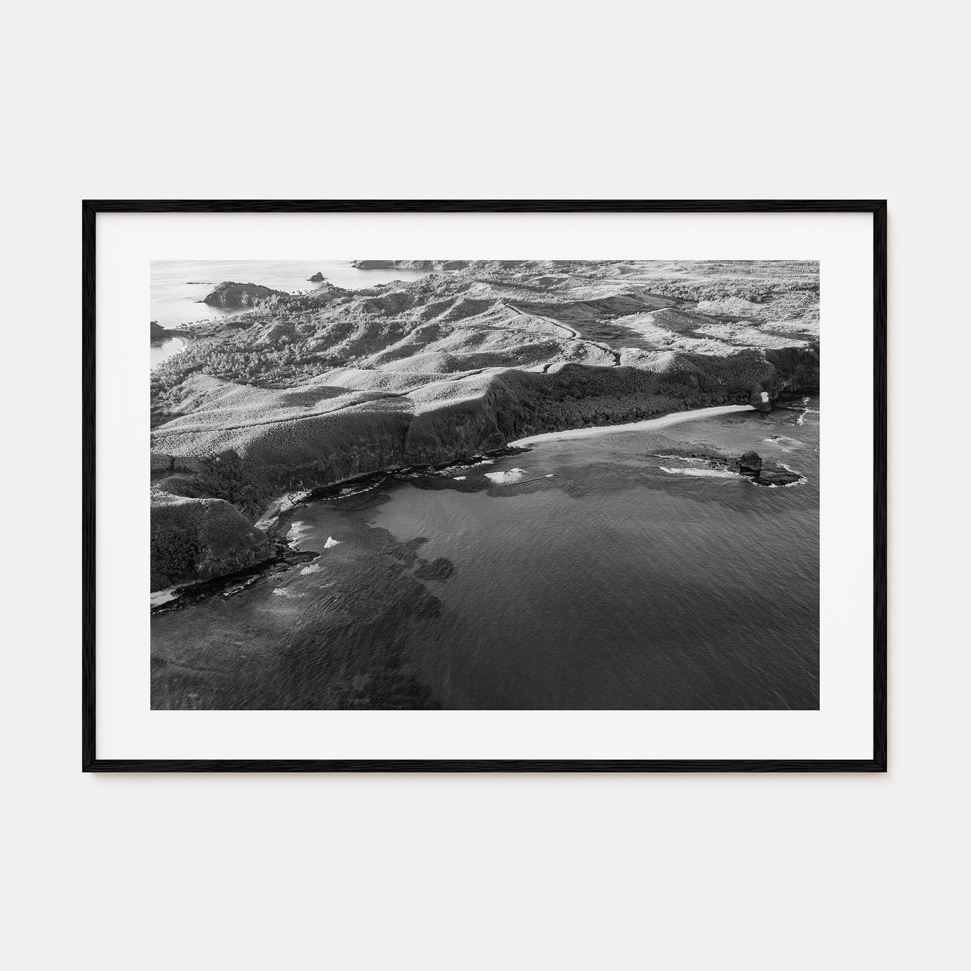 Fiji Landscape B&W Poster