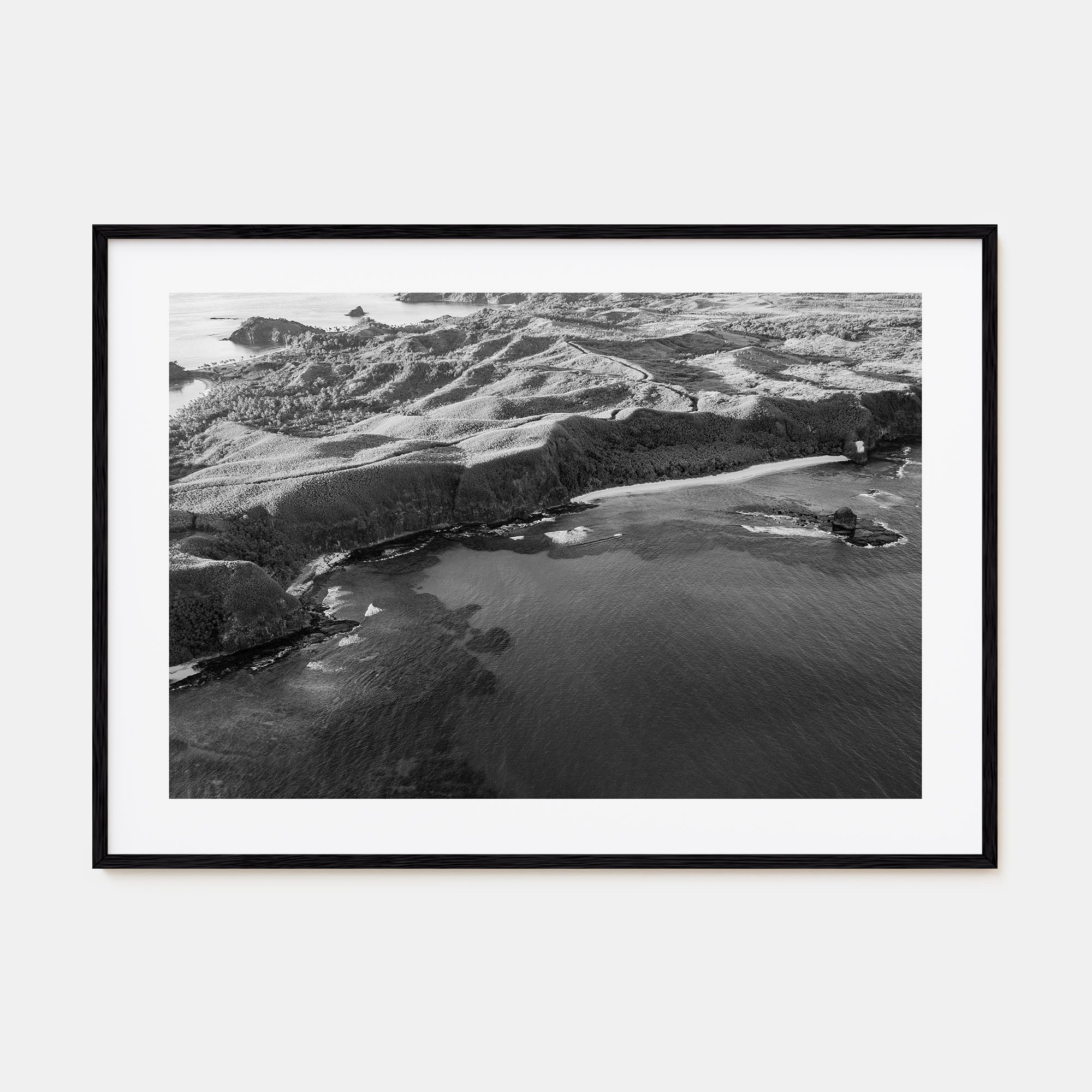 Fiji Landscape B&W Poster