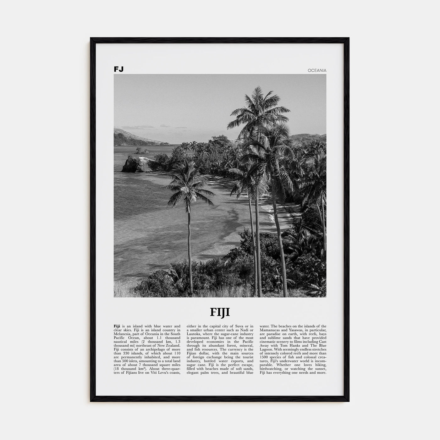 Fiji Travel B&W No 1 Poster