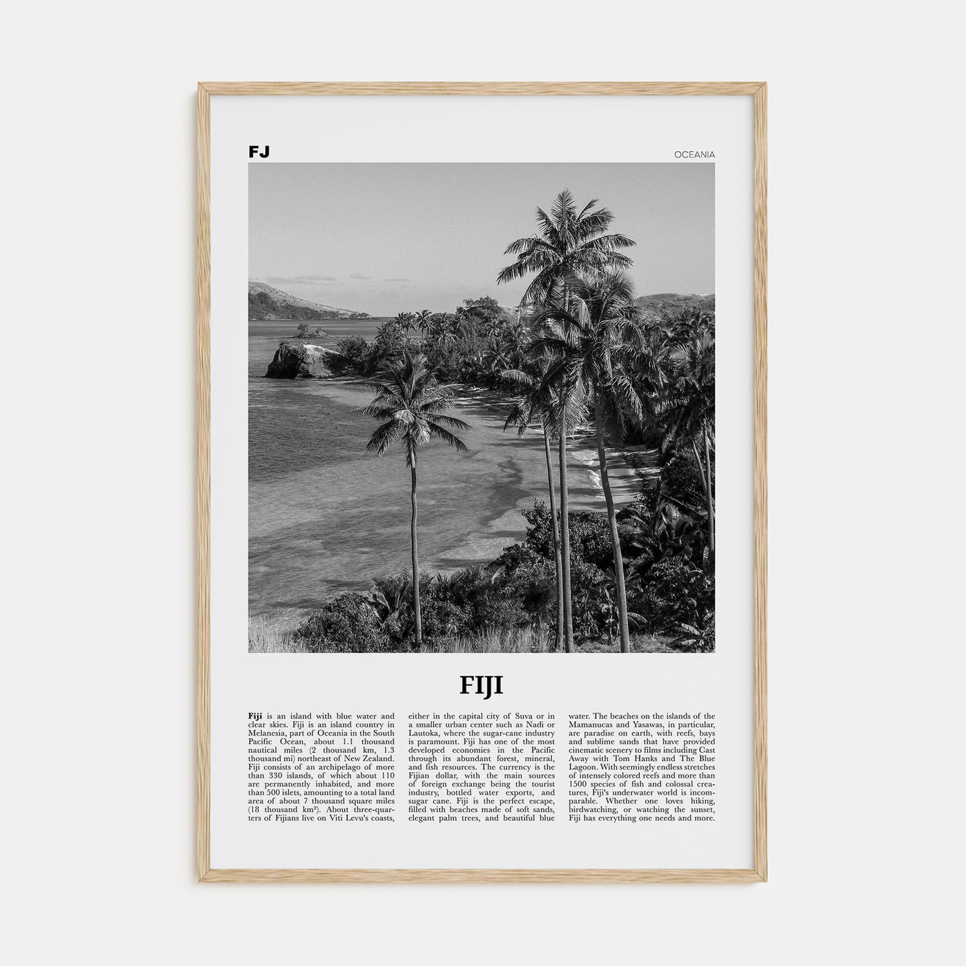 Fiji Travel B&W No 1 Poster