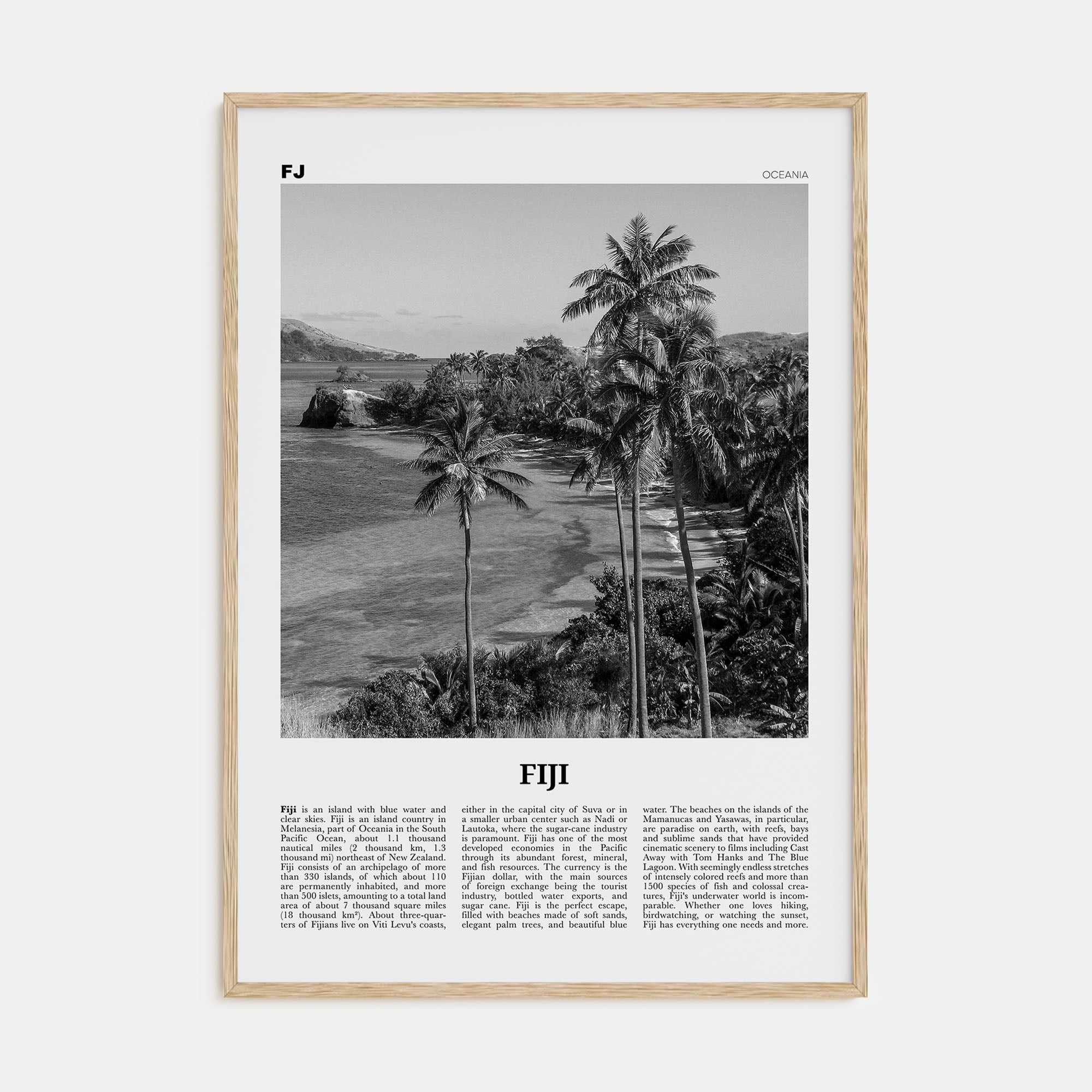 Fiji Travel B&W No 1 Poster