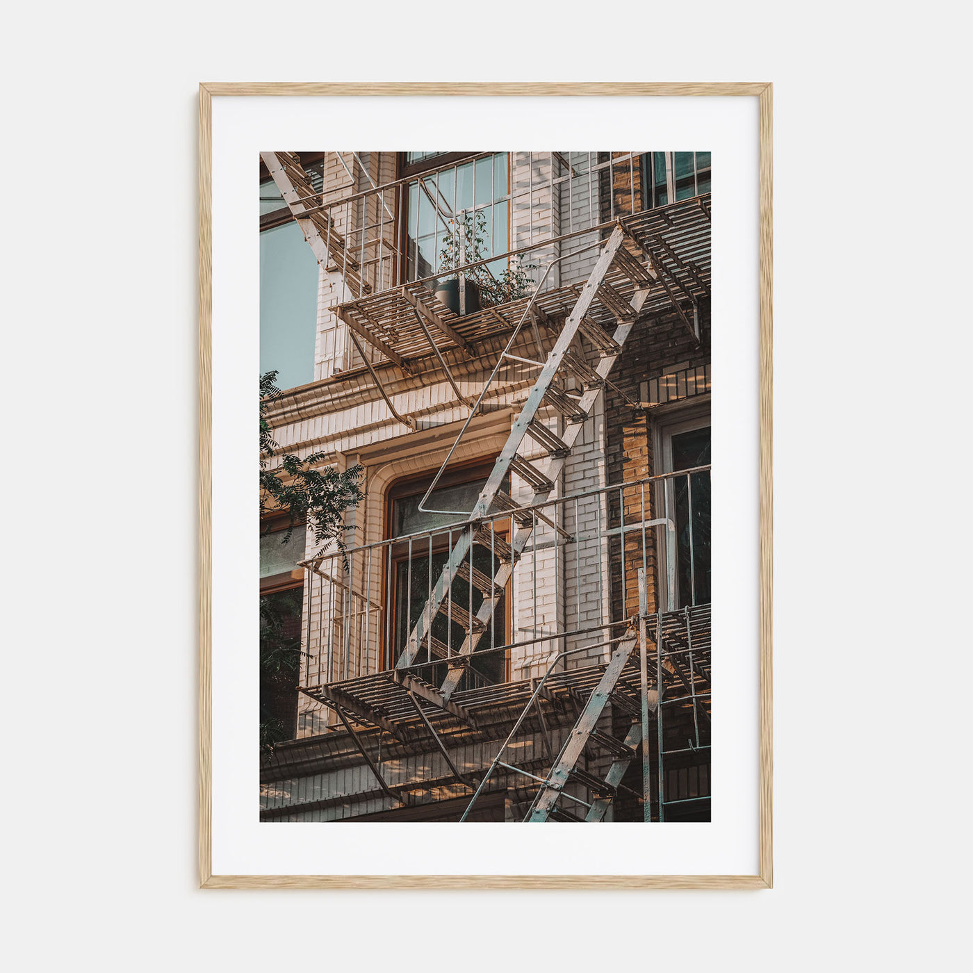Fire Escapes Photo Color No 1 Poster