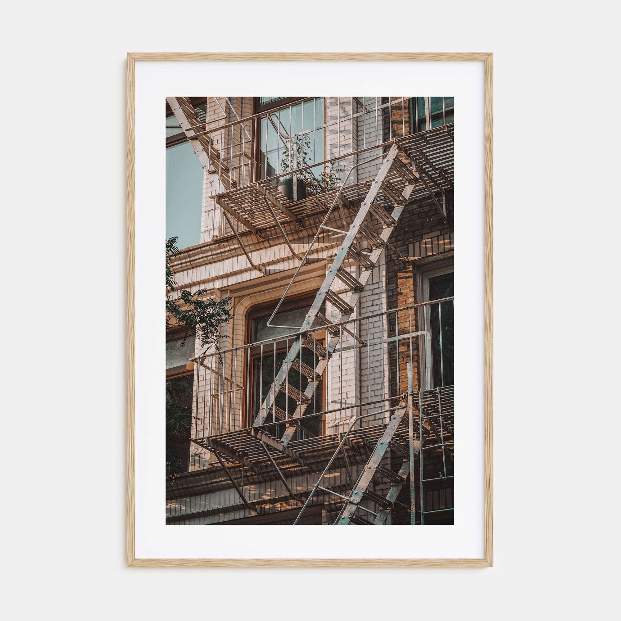 Fire Escapes Photo Color No 1 Poster