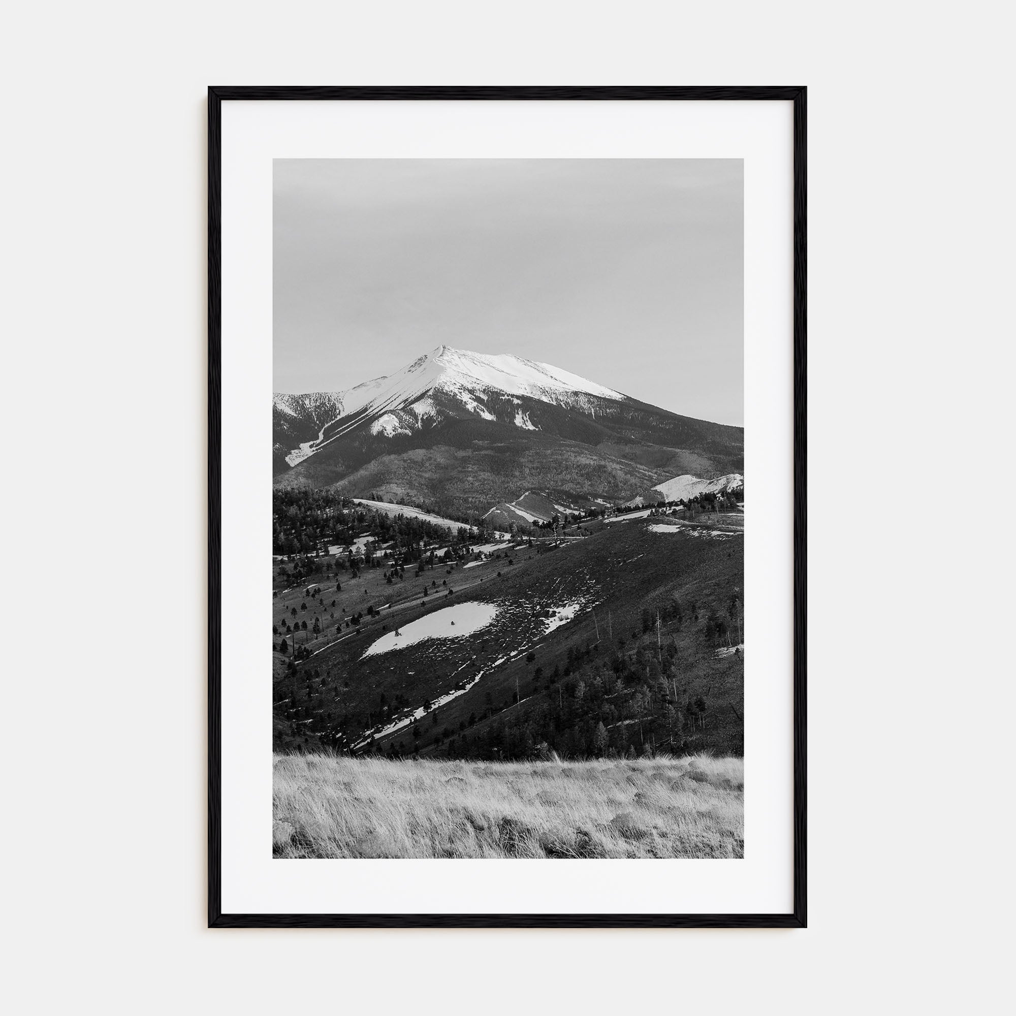Flagstaff Photo B&W Poster