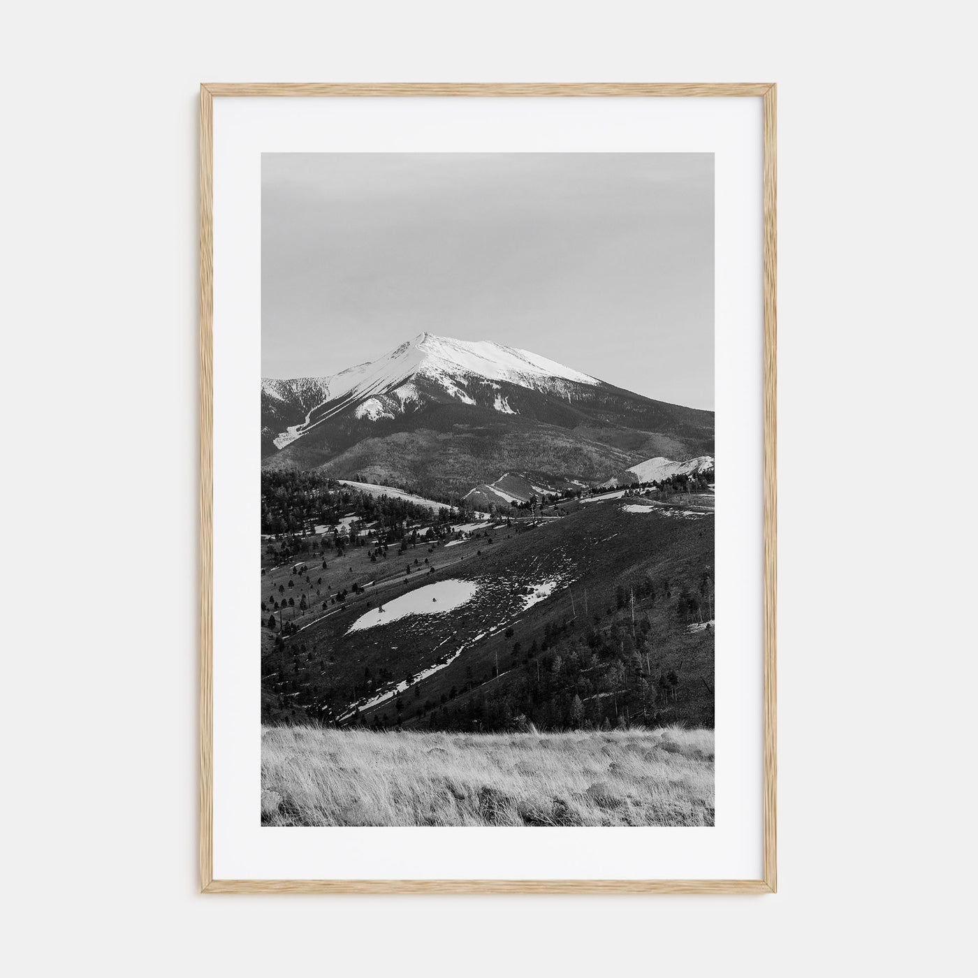 Flagstaff Photo B&W Poster