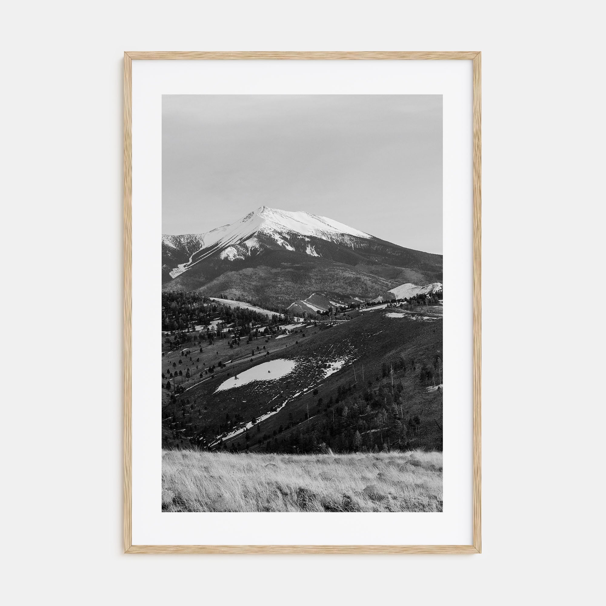 Flagstaff Photo B&W Poster
