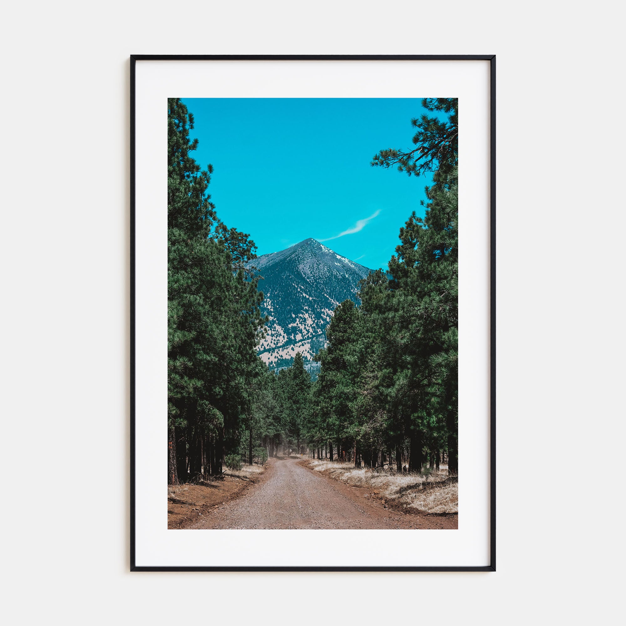 Flagstaff Photo Color Poster