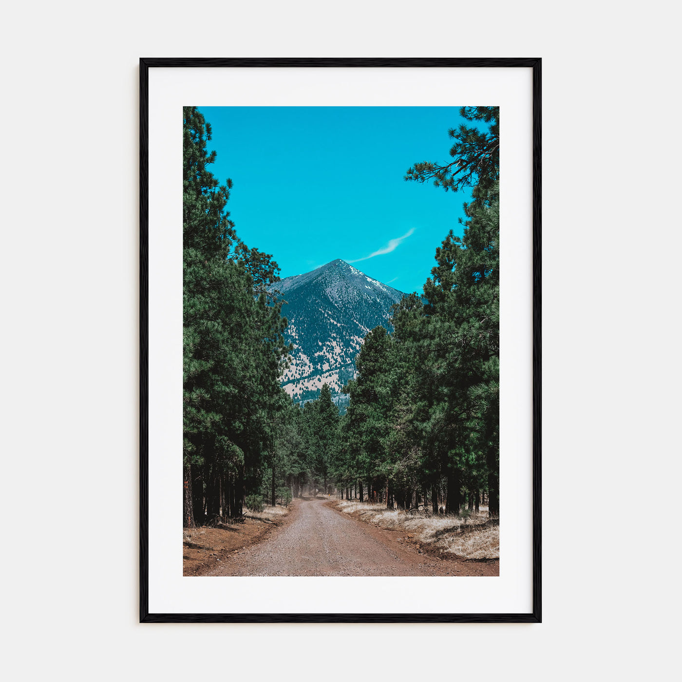 Flagstaff Photo Color Poster