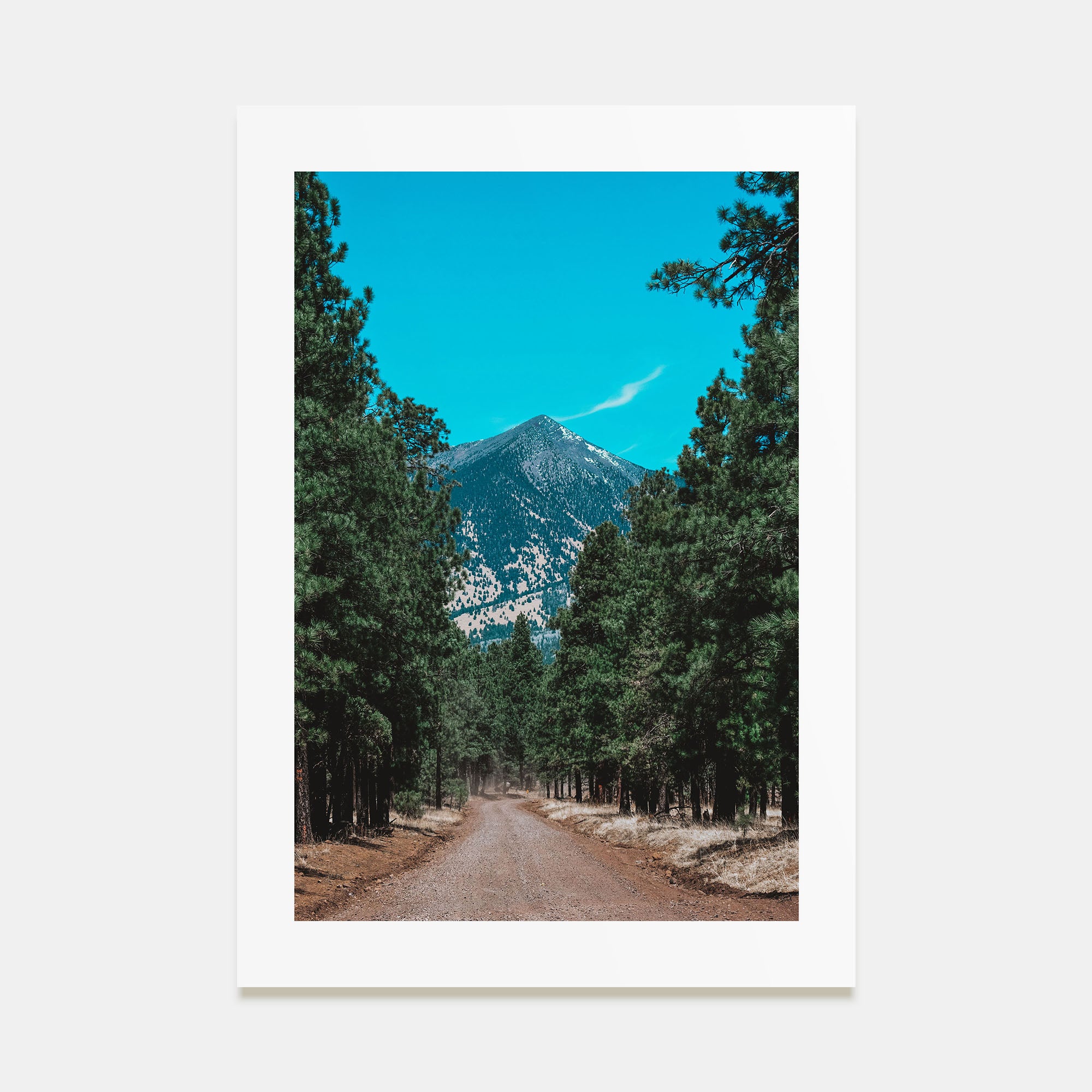 Flagstaff Photo Color Poster