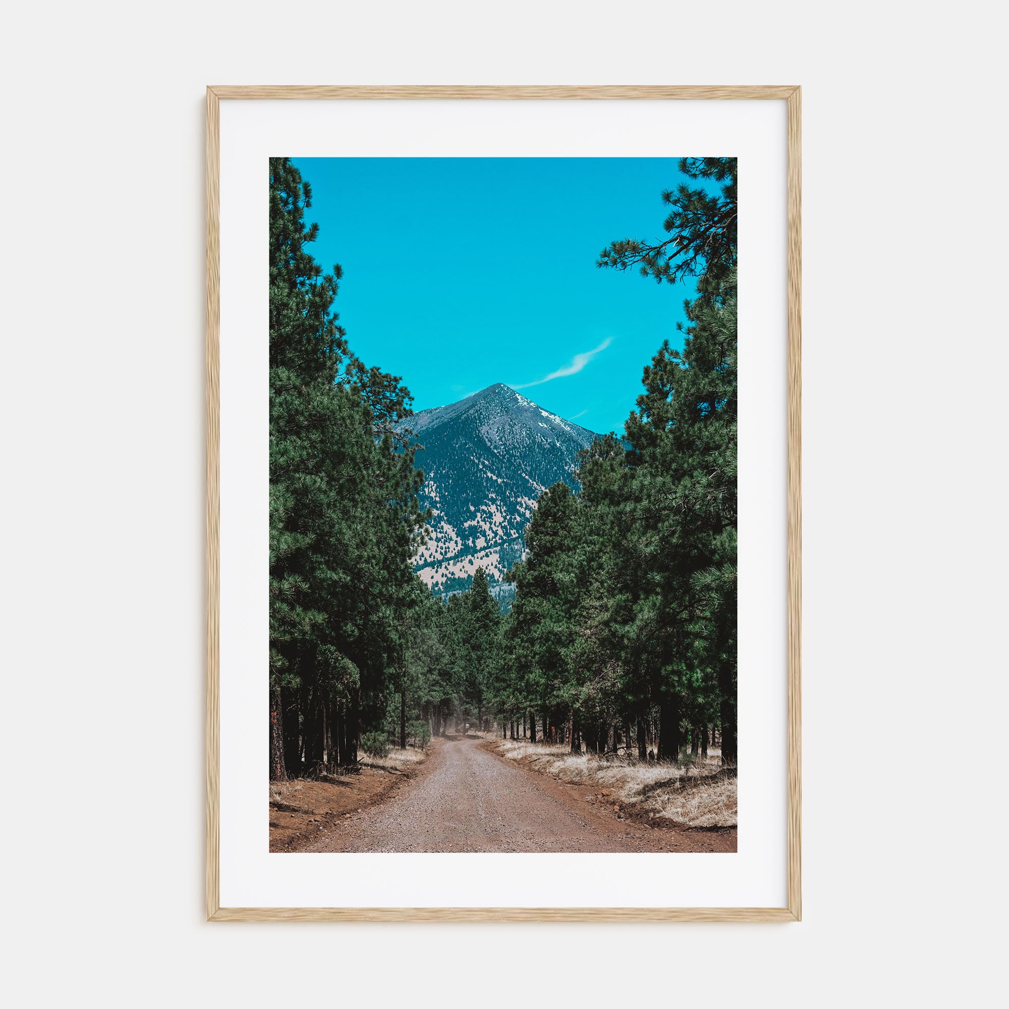 Flagstaff Photo Color Poster