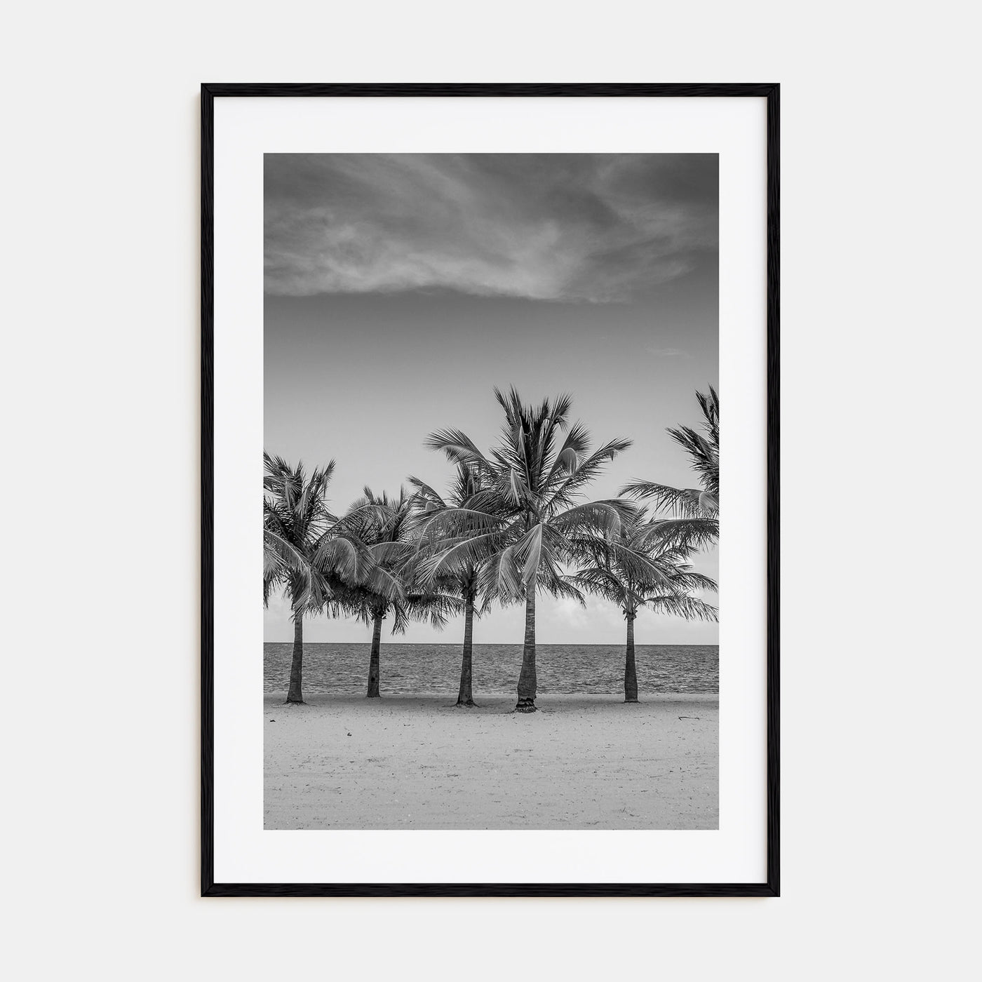 Florida Photo B&W No 2 Poster