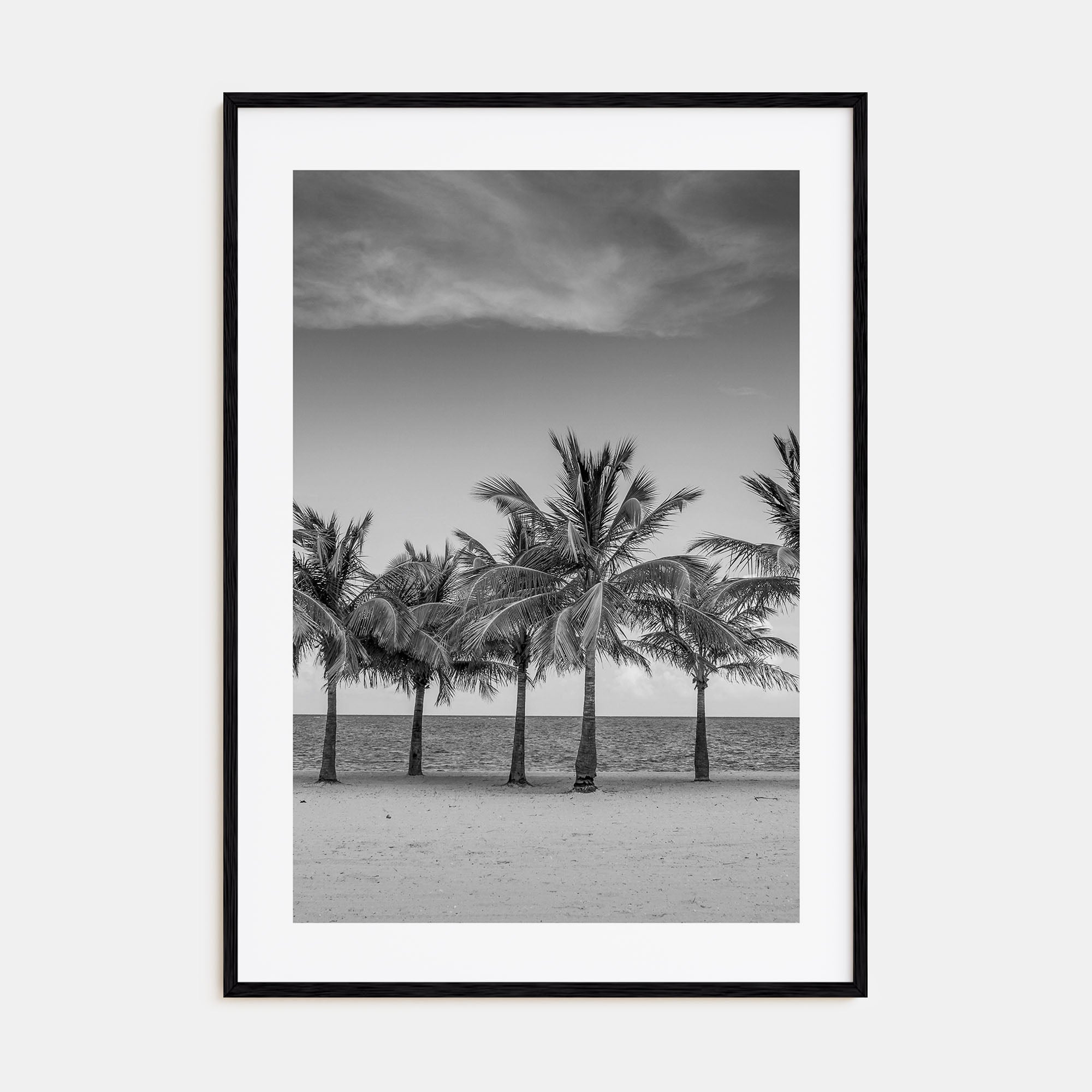 Florida Photo B&W No 2 Poster