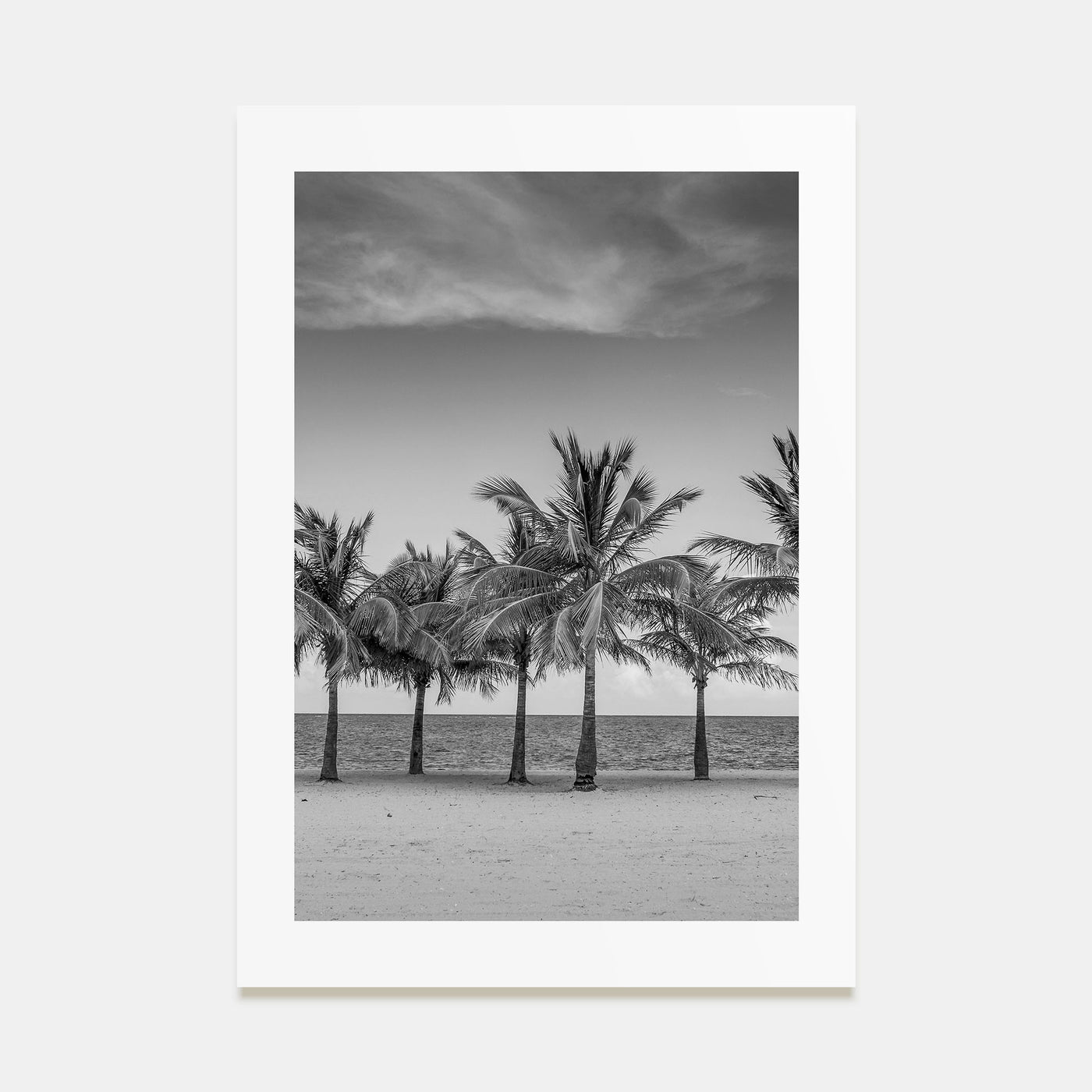 Florida Photo B&W No 2 Poster
