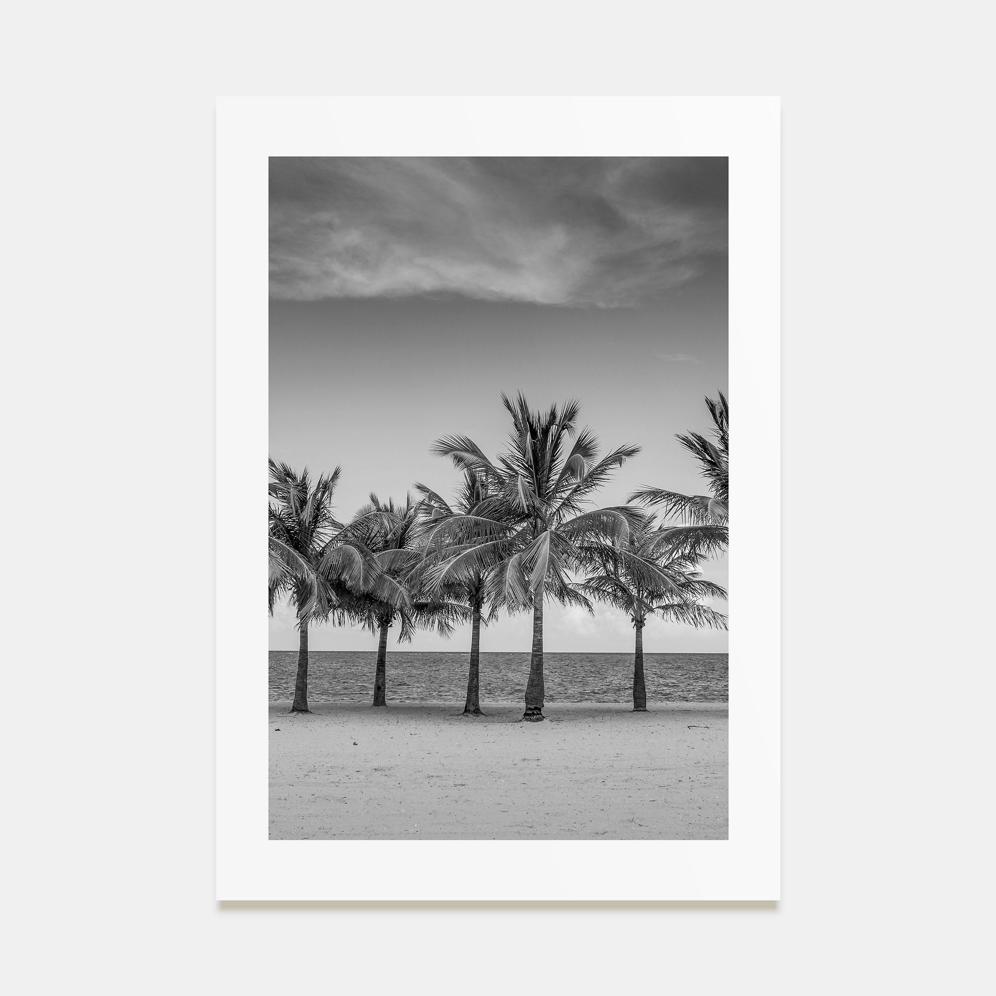 Florida Photo B&W No 2 Poster