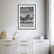 Florida Photo B&W No 2 Poster