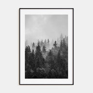 Foggy Forest Photo B&W No 1 Poster