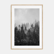 Foggy Forest Photo B&W No 1 Poster