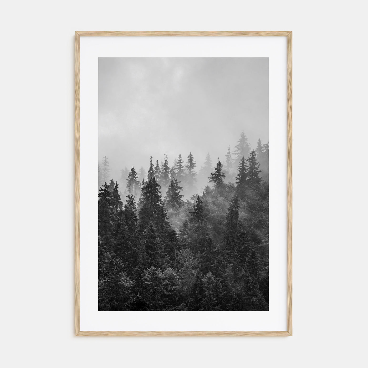 Foggy Forest Photo B&W No 1 Poster