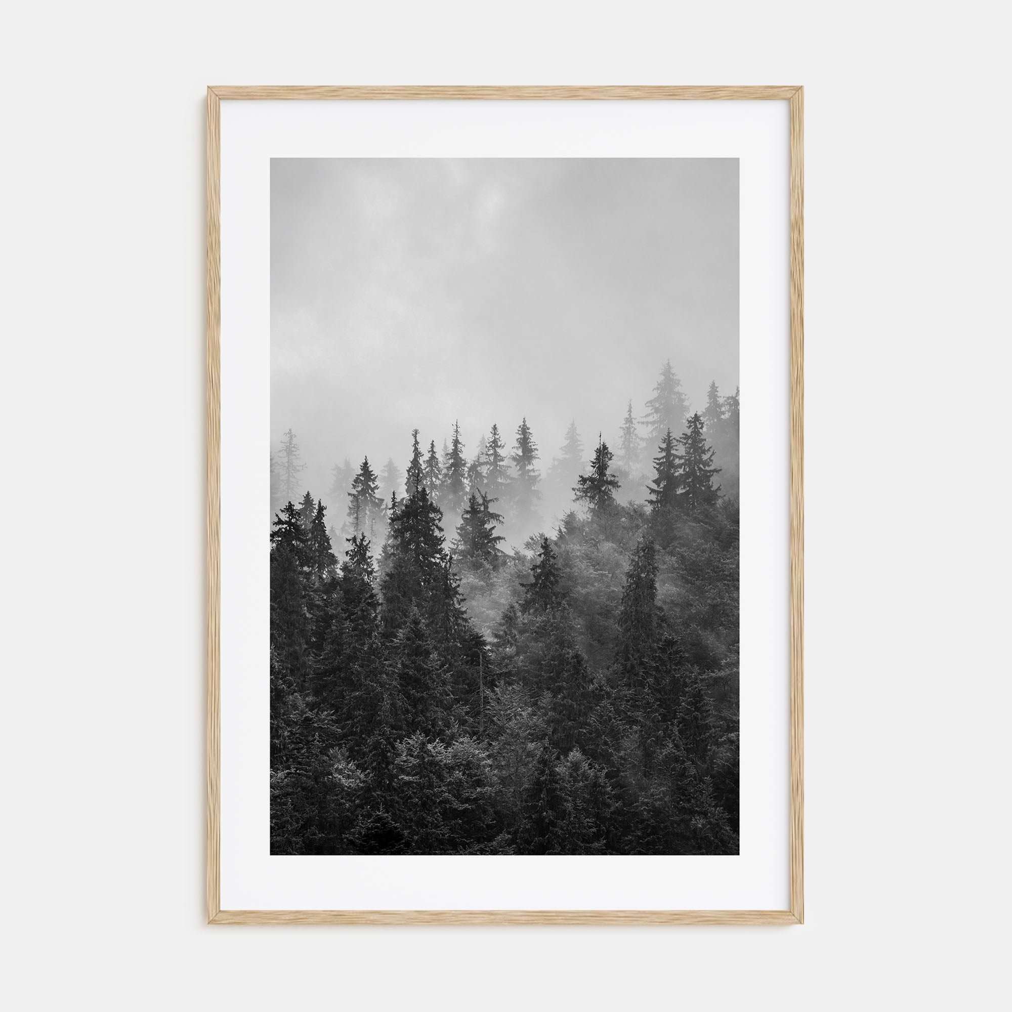 Foggy Forest Photo B&W No 1 Poster