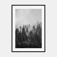 Foggy Forest Photo B&W No 1 Poster