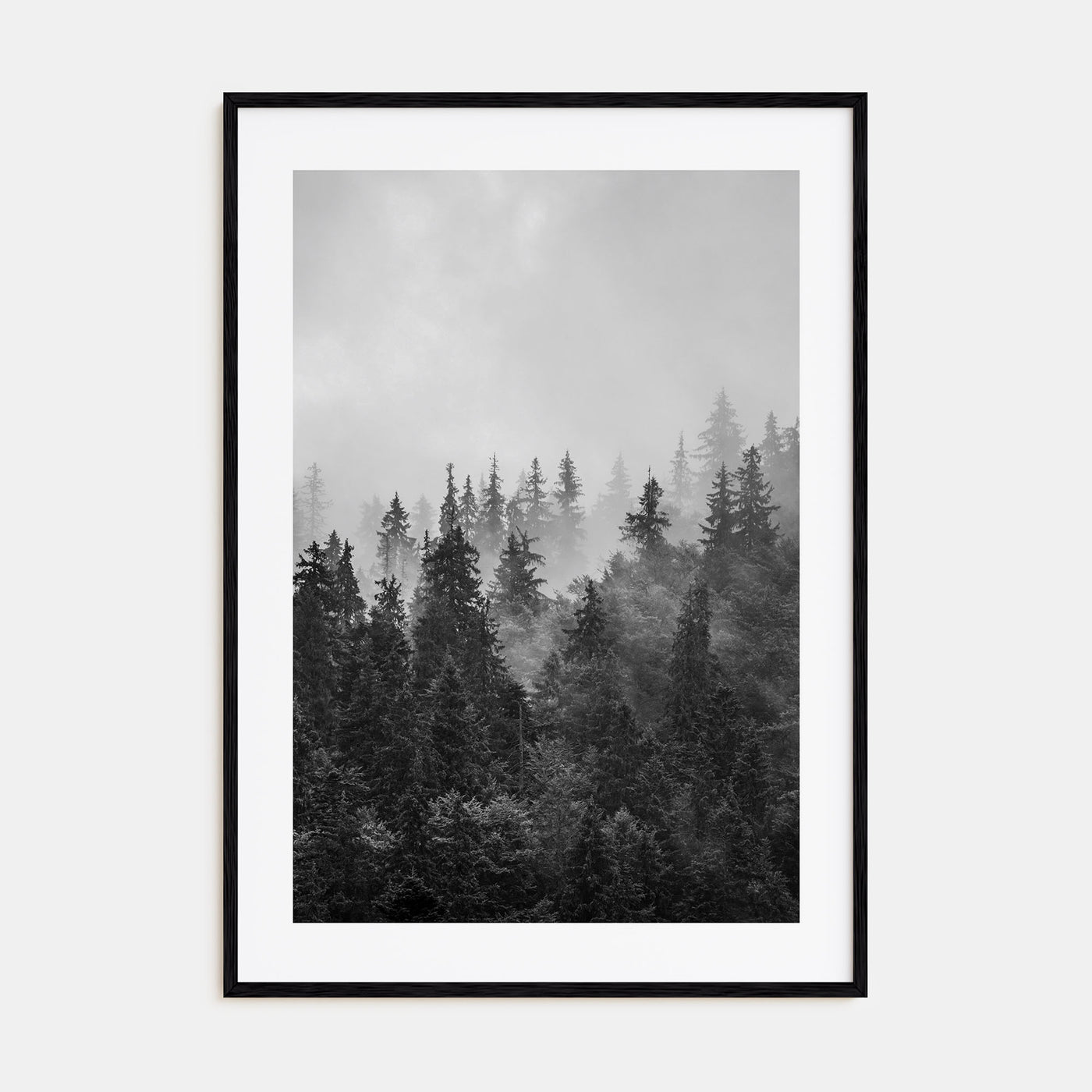 Foggy Forest Photo B&W No 1 Poster
