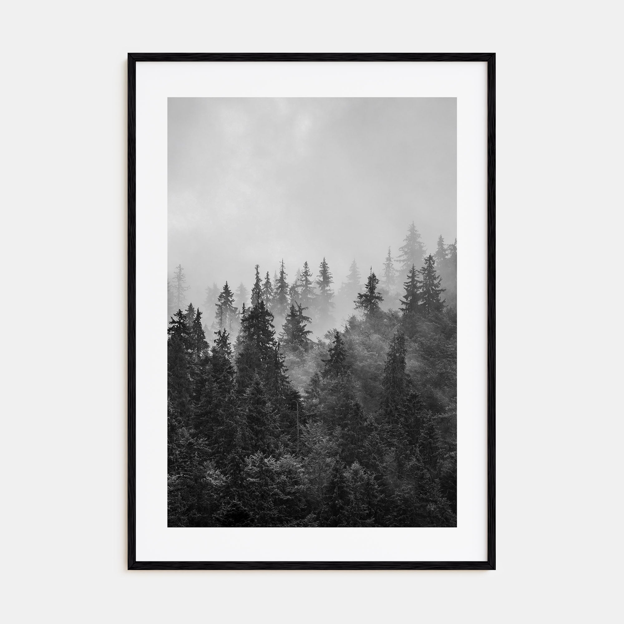 Foggy Forest Photo B&W No 1 Poster