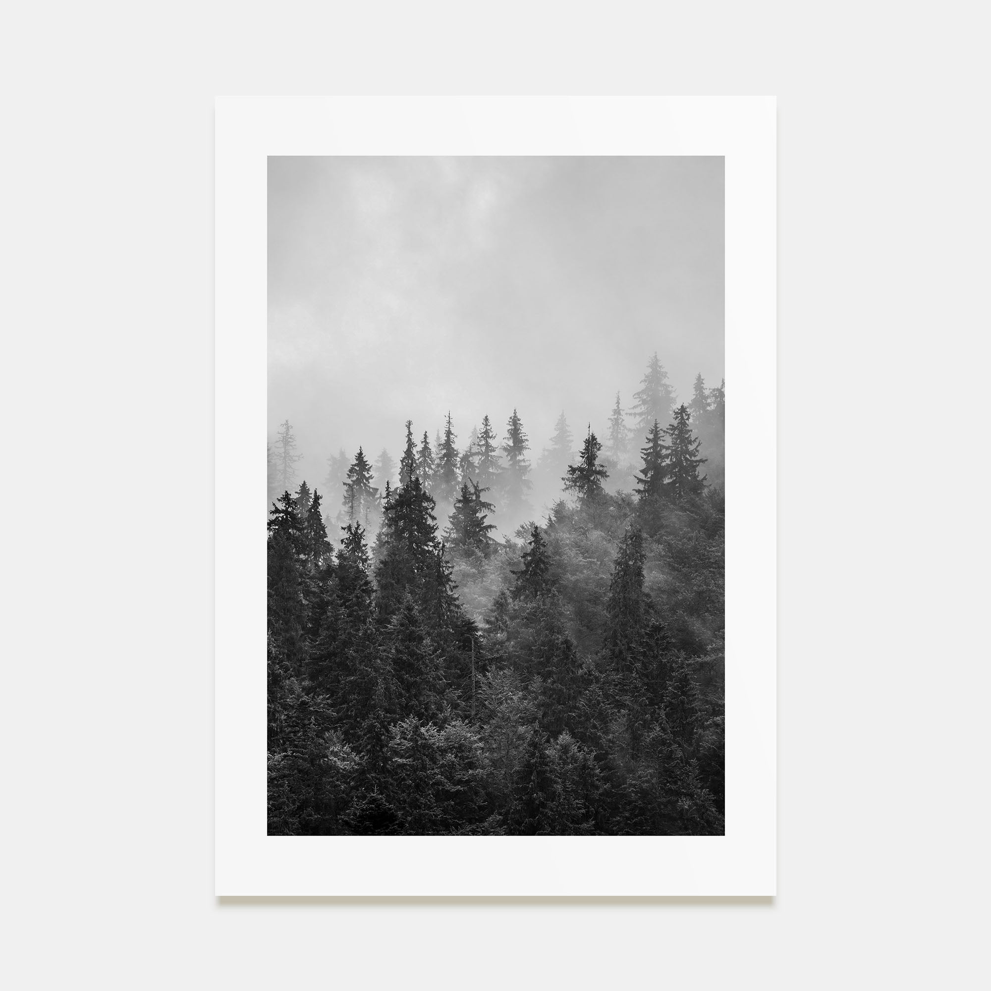 Foggy Forest Photo B&W No 1 Poster