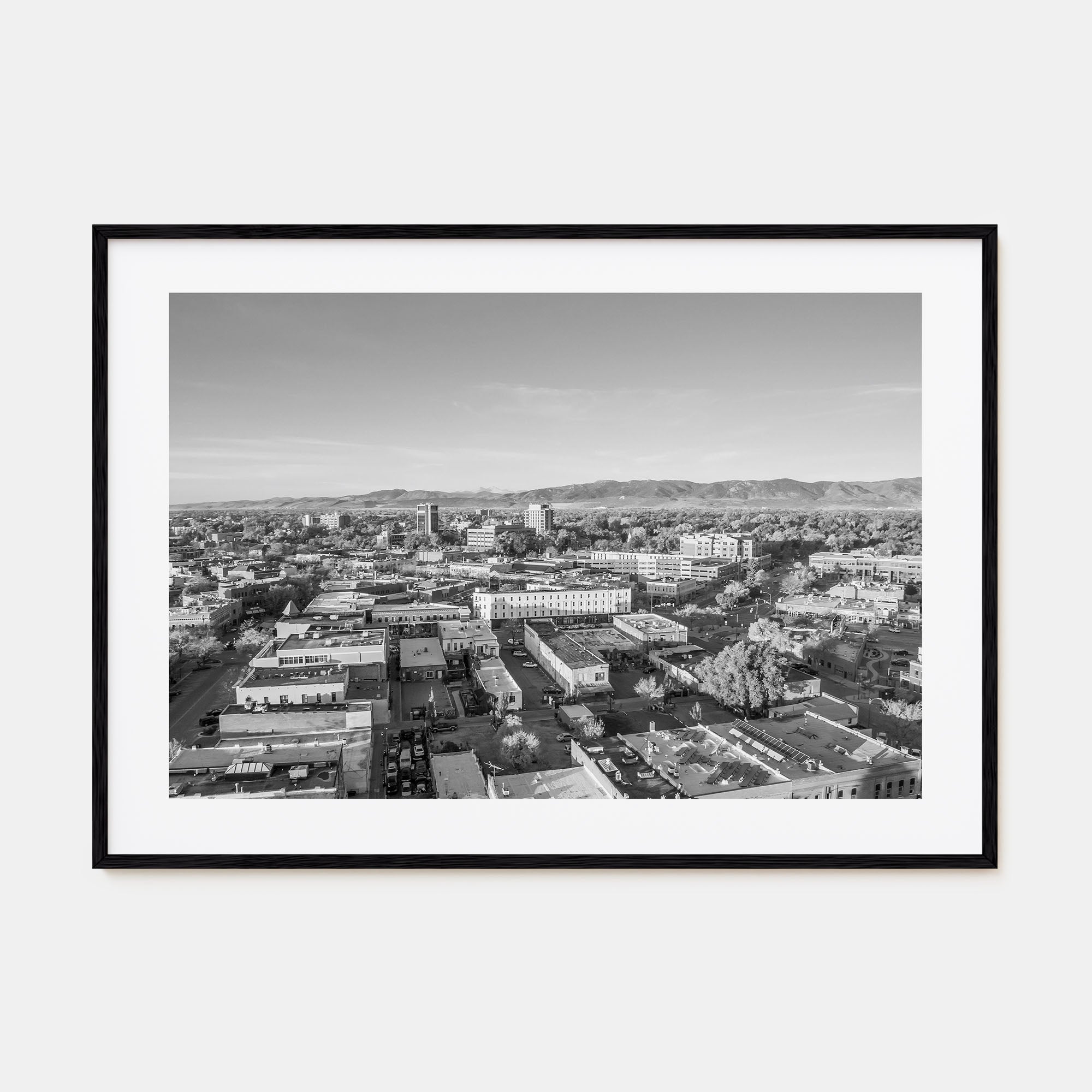 Fort Collins Landscape B&W Poster