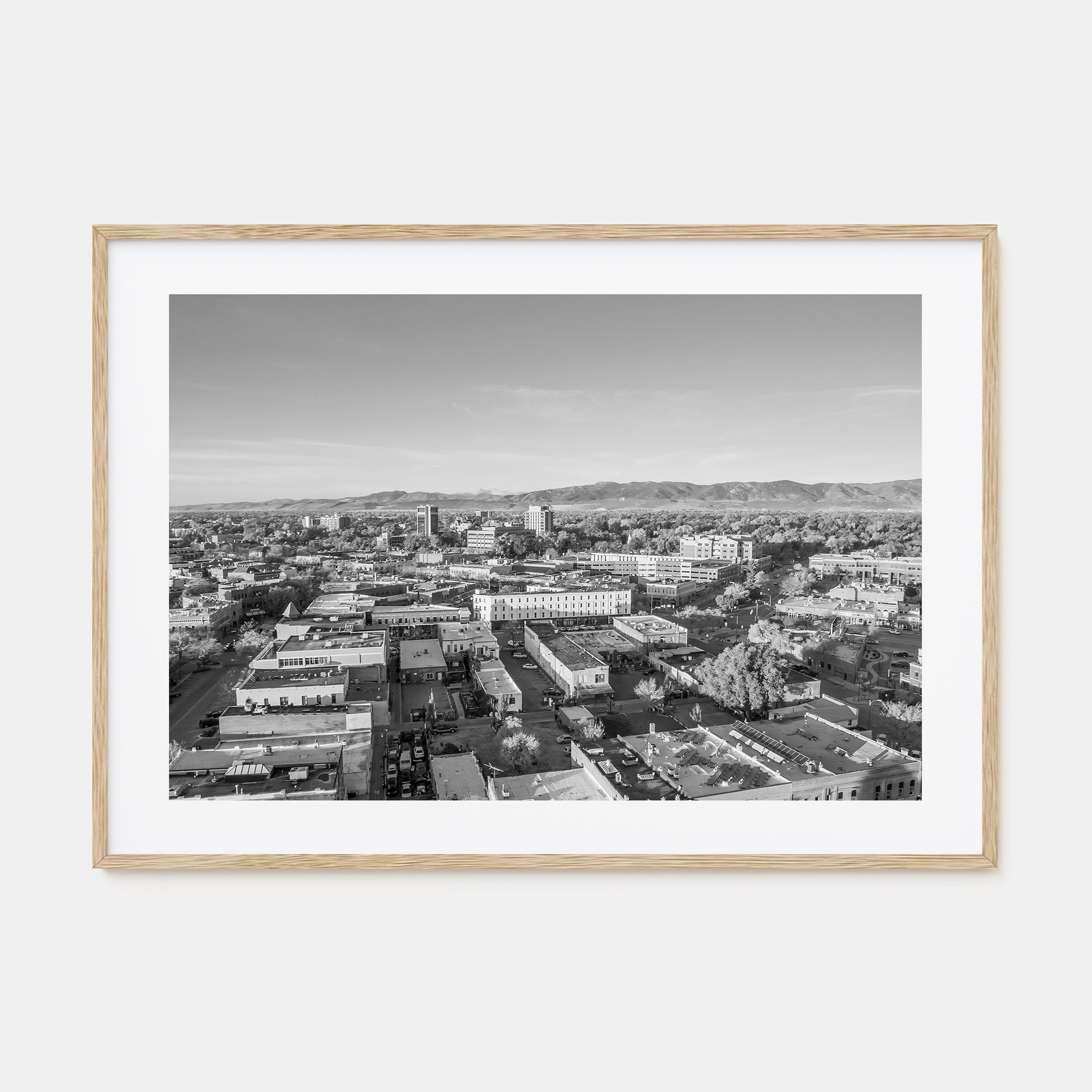 Fort Collins Landscape B&W Poster