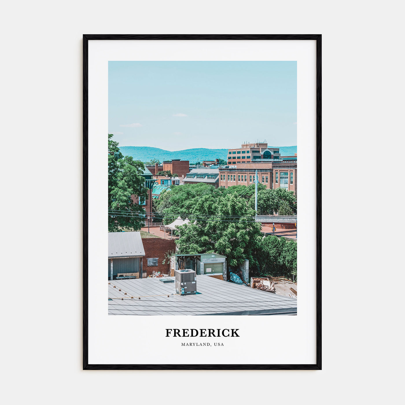 Frederick Portrait Color Poster