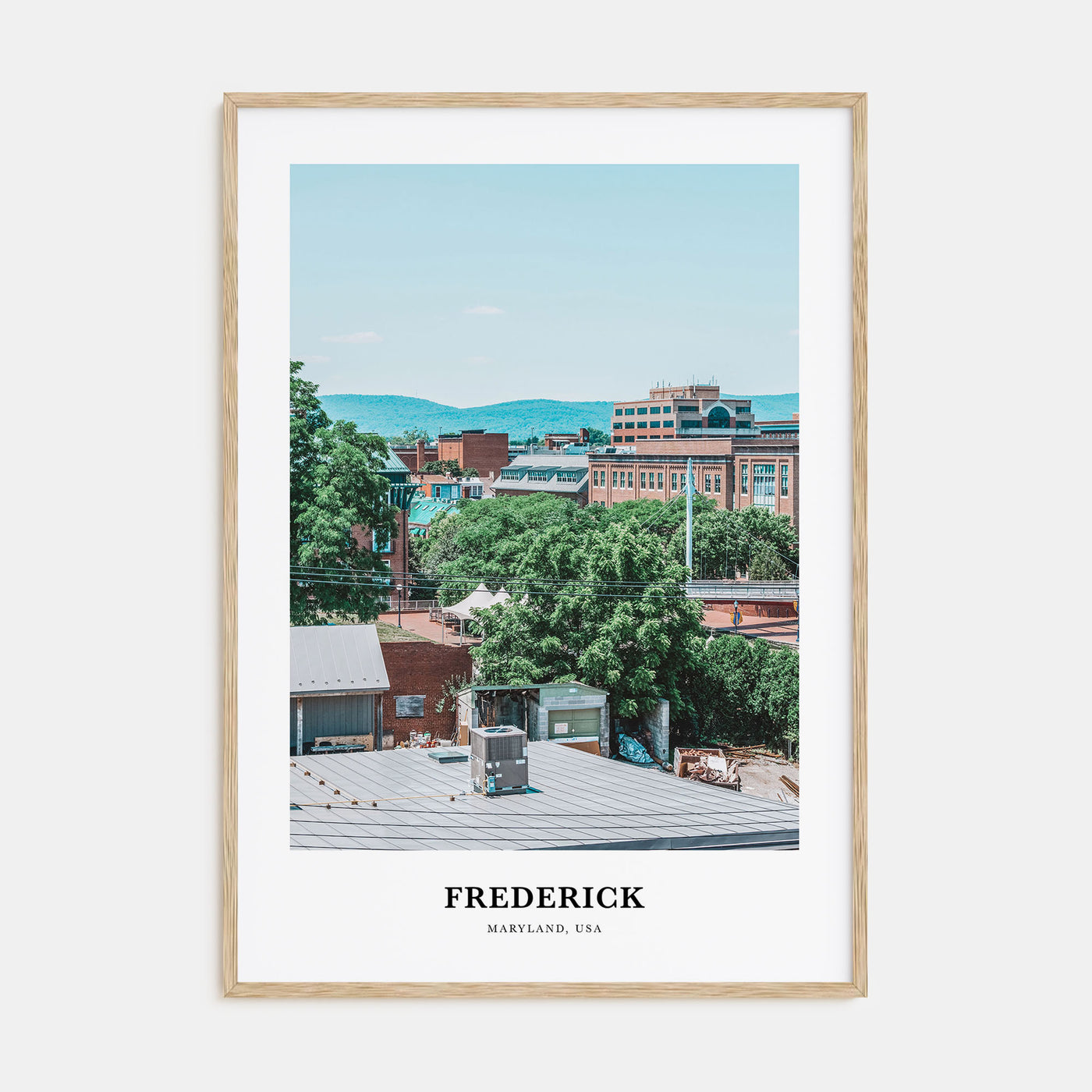 Frederick Portrait Color Poster