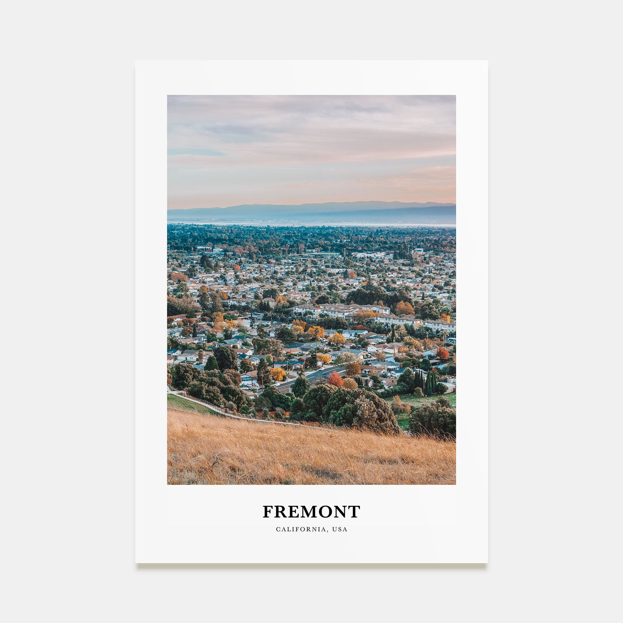 Fremont Portrait Color Poster