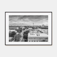 Gainesville Landscape B&W Poster