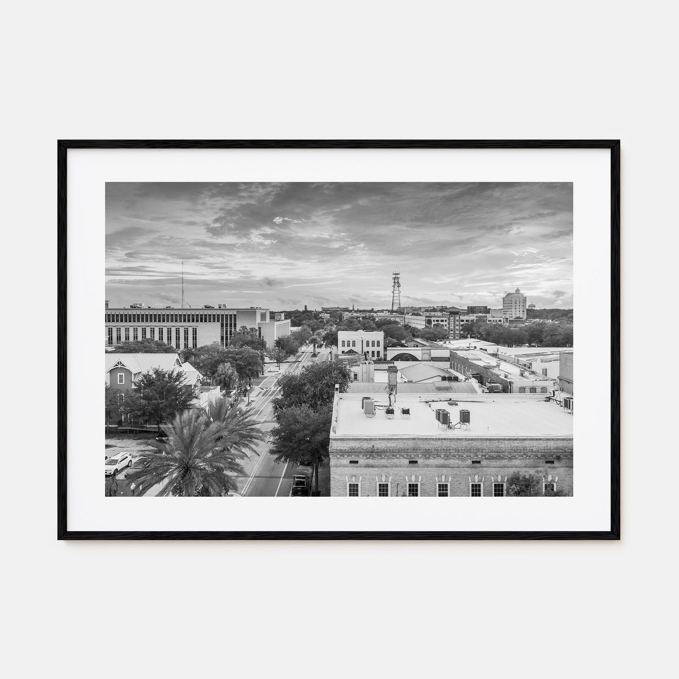 Gainesville Landscape B&W Poster