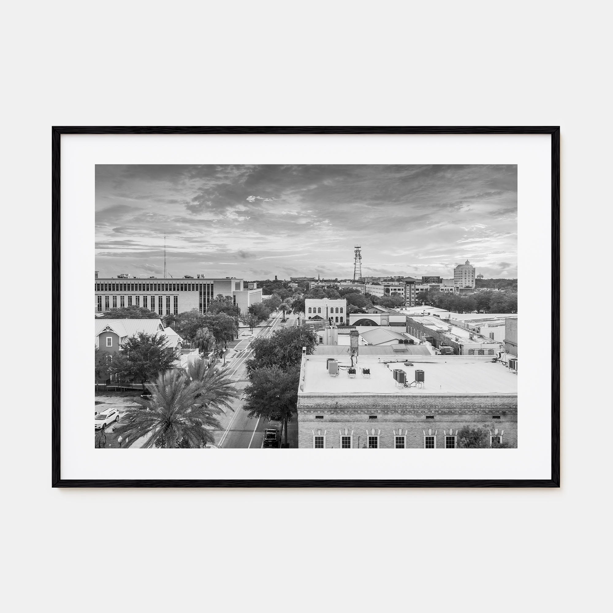 Gainesville Landscape B&W Poster