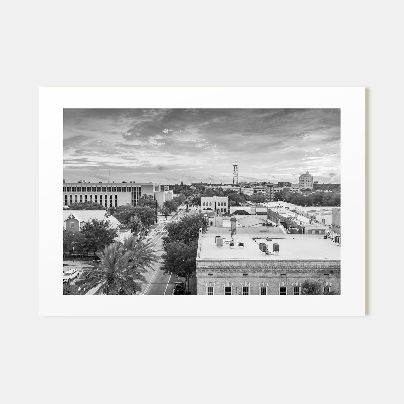 Gainesville Landscape B&W Poster