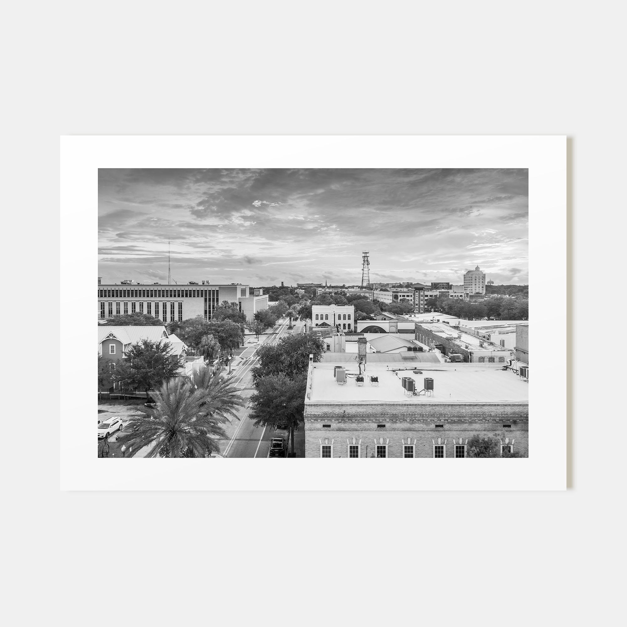 Gainesville Landscape B&W Poster
