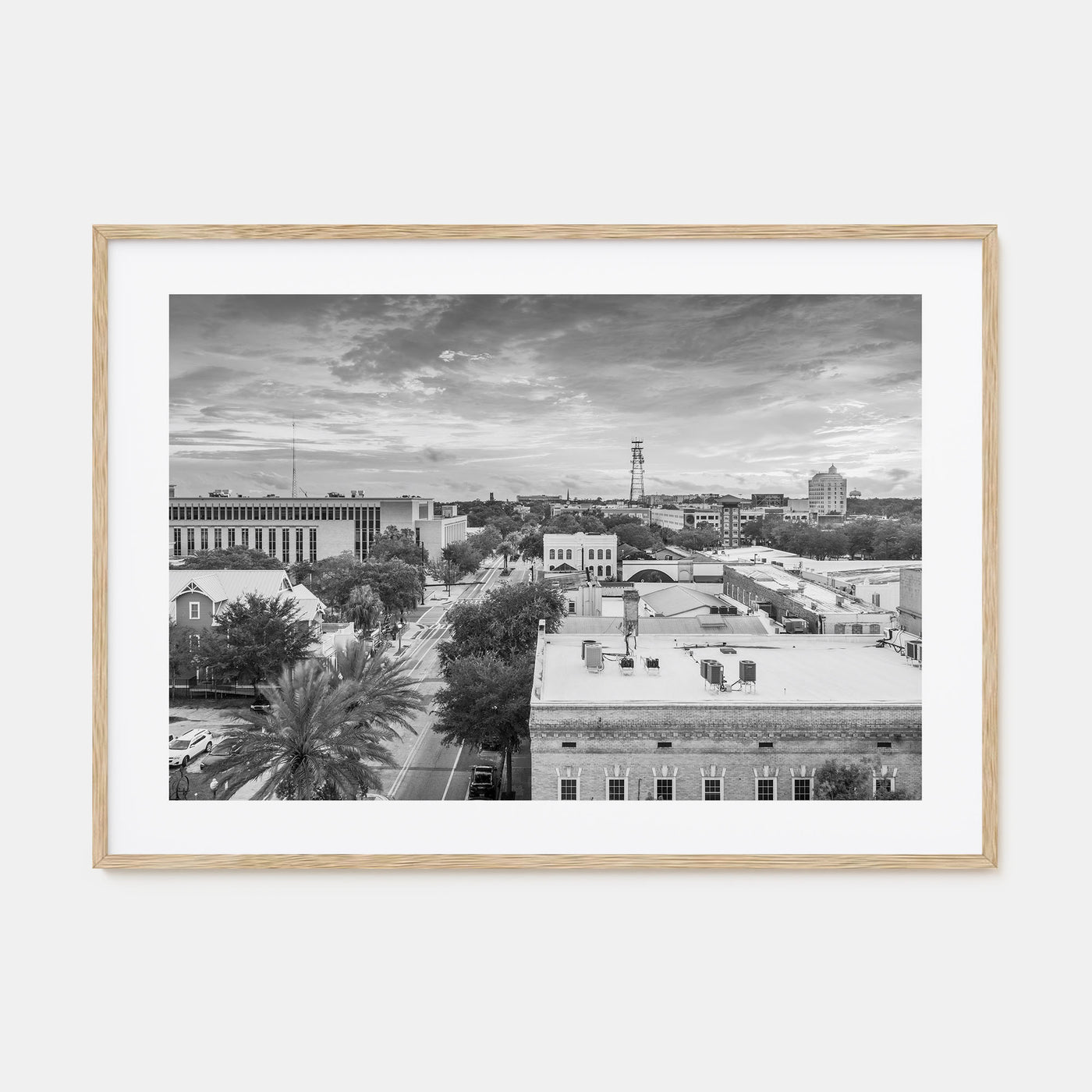 Gainesville Landscape B&W Poster